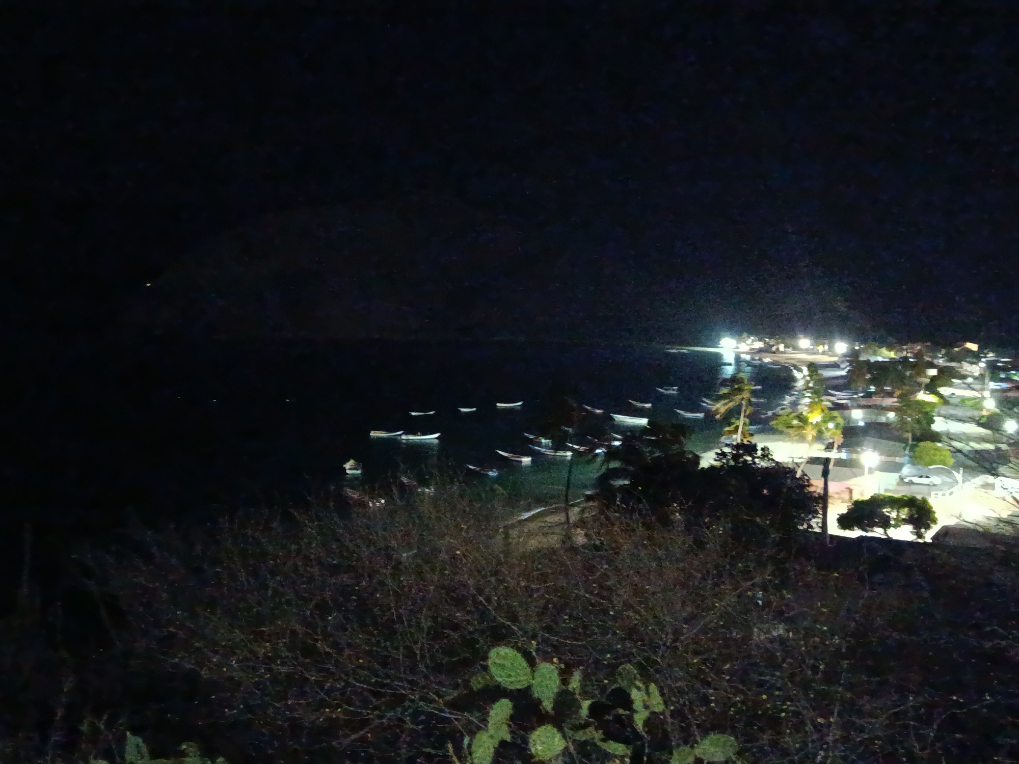 The image presents a night view of Juan Griego, Venezuela, from an elevated position. Several boats are visible in the bay, illuminated by the town's lights reflecting on the water. The town itself is lit up, with streetlights and building lights visible. The foreground shows foliage, including bushes and cacti, obscuring the full view. The sky is dark, with no visible stars.