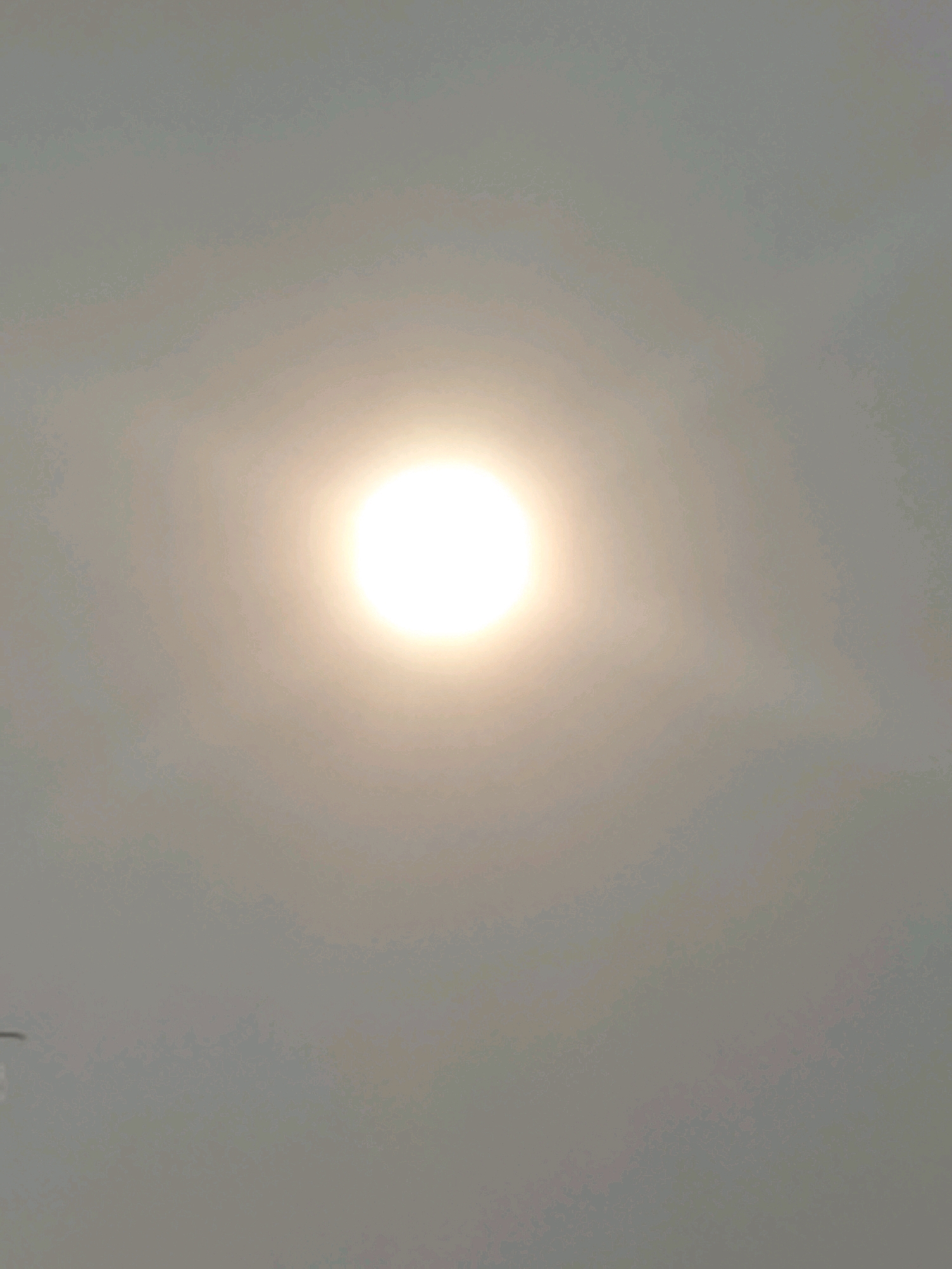 The image depicts a bright, hazy sun in a predominantly grey sky, suggesting it is daytime in Ujungrusi, Indonesia. The sun is a distinct, luminous circle in the center of the frame, radiating a soft glow that diffuses into the surrounding atmosphere. There are no discernible people, specific objects, or actions visible in the scene. The environment appears to be an open sky, possibly with atmospheric haze or light cloud cover obscuring a clear view of the sun. The overall impression is one of a bright but overcast day.