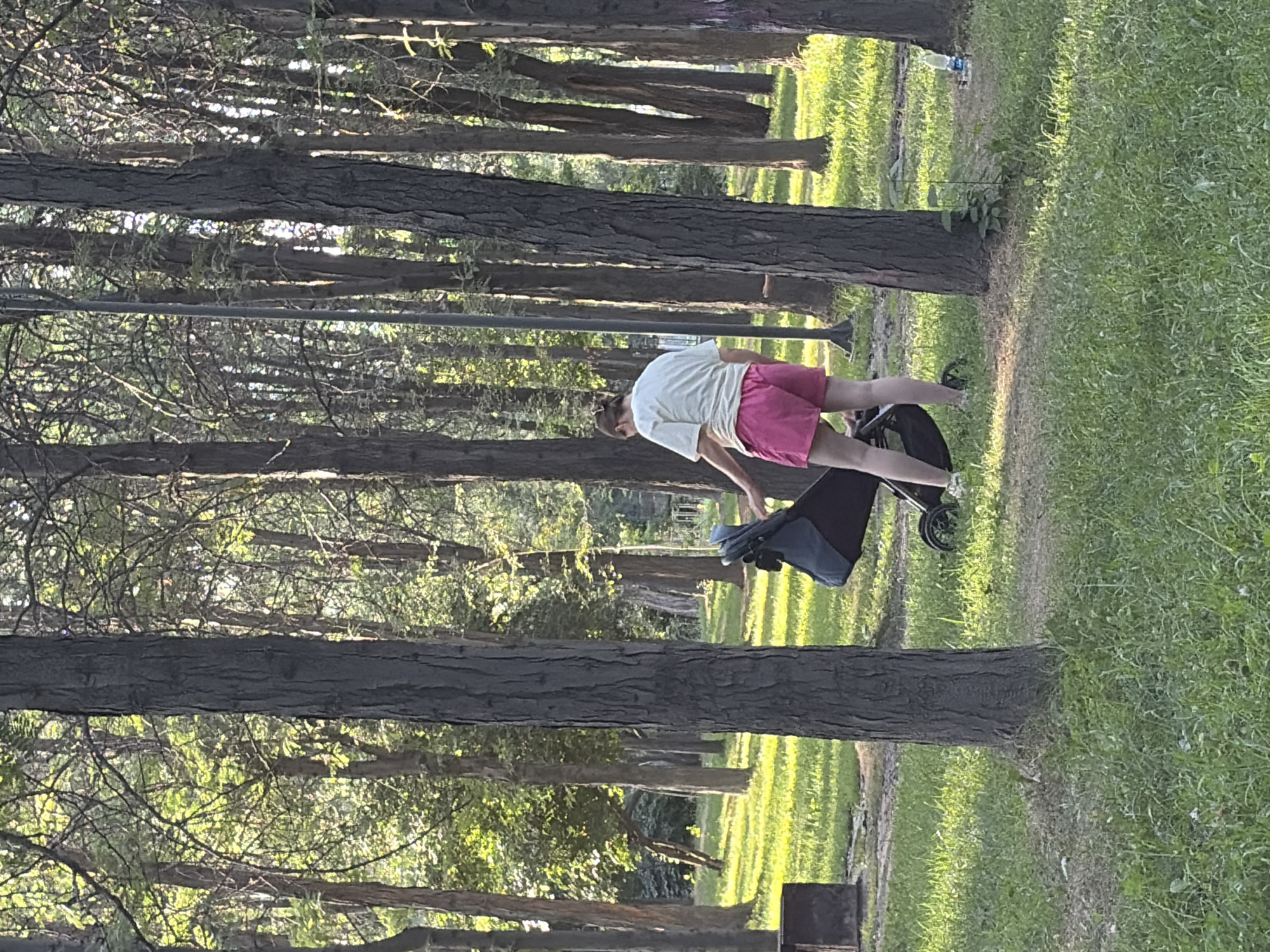 A person, likely an adult, is standing in a park, possibly a wooded area, next to a stroller. The person is wearing a light-colored t-shirt and bright pink shorts. The stroller is dark-colored and appears to be a standard baby stroller with wheels. The environment is characterized by a significant number of trees with rough bark, casting shadows on the grassy ground. Sunlight filters through the leaves, creating dappled lighting. There is also a dark, rectangular object that resembles a trash receptacle visible in the background to the left. The ground is covered in green grass and some patches of dirt. The overall scene suggests a casual outing in a natural setting within a city.