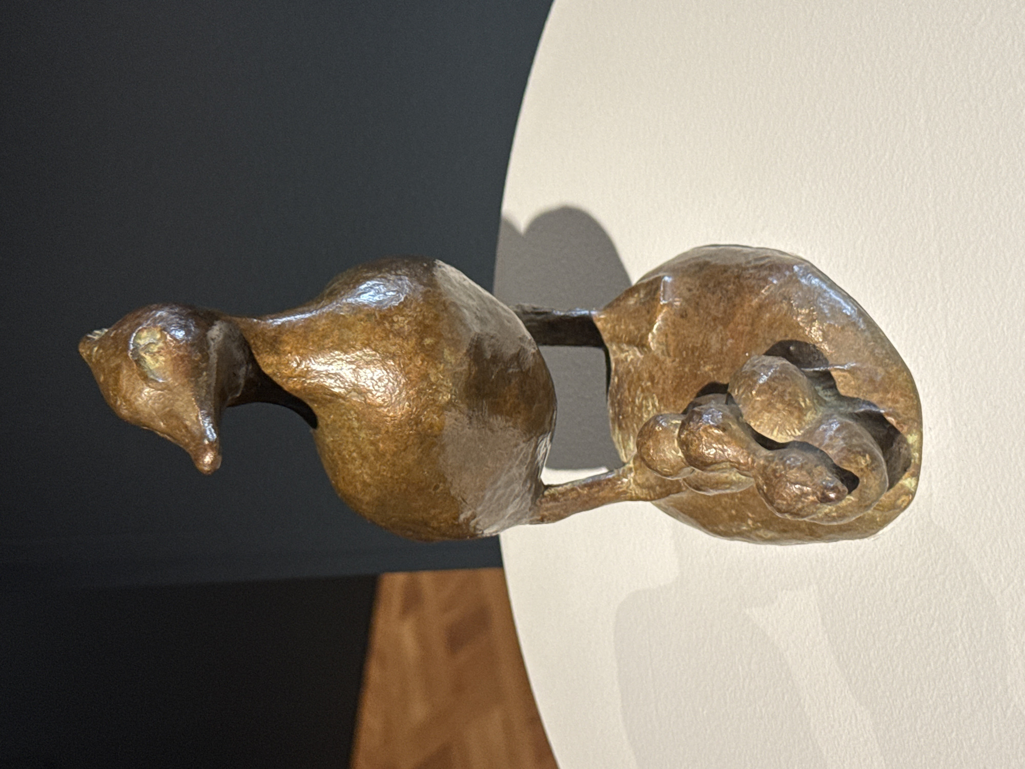 This is a close-up, eye-level, outdoor shot of a bronze sculpture of a cat. The sculpture is smooth and rounded, with a rich patina that has been polished to a sheen. The cat is depicted in a relaxed, curled-up position, with its head tucked into its body. The sculpture is attached to a thin bronze rod that extends to the right, disappearing out of frame. The background is split between a dark gray surface on the left and a white surface on the right, with a soft shadow cast on the white surface. The lighting suggests it is daytime. There is no visible text.