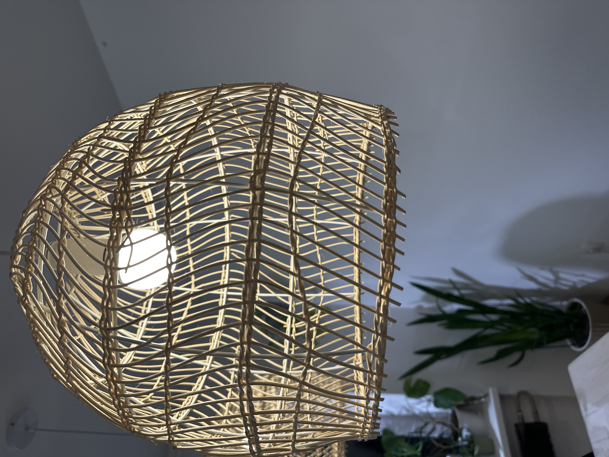 The image shows a hanging lamp with a woven wicker lampshade. A light bulb is visible within the shade. In the background, slightly out of focus, are plants on a shelf or table. The wall is a pale shade of gray or white. There is no specific information to indicate that the image was taken in Chaikovsky, Russia.