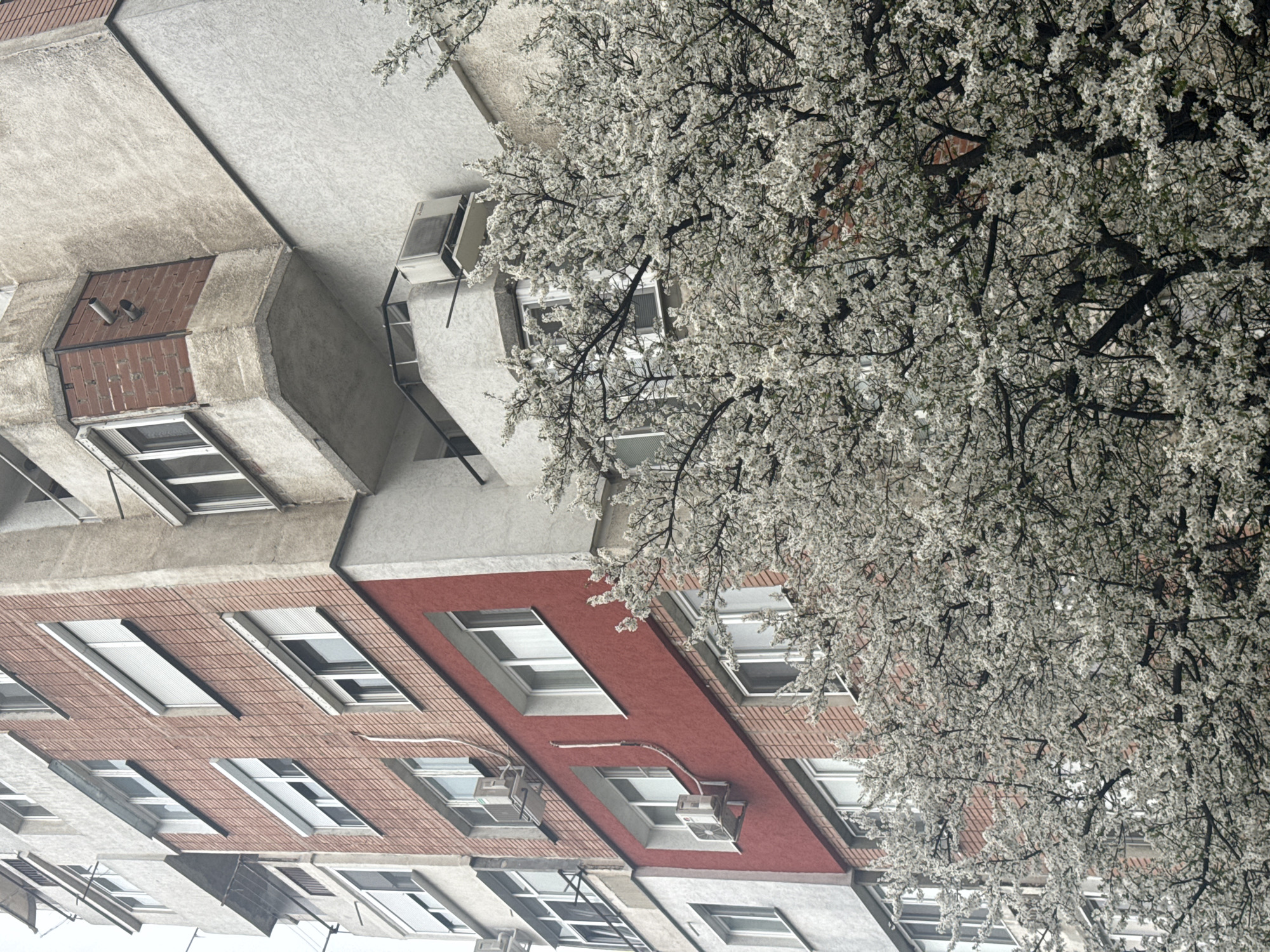 The image depicts the exterior of an urban building in Sofia, Bulgaria, captured from a low angle, likely street level. The building features a mix of architectural styles and materials, including brick, concrete, and what appears to be stucco. The facade is punctuated by numerous windows, some of which have visible air conditioning units installed. A flowering tree with white blossoms partially obscures the building, suggesting a springtime setting. The building's structure appears somewhat dated, and the overall aesthetic is one of urban density and mixed architectural elements. No people are visible.