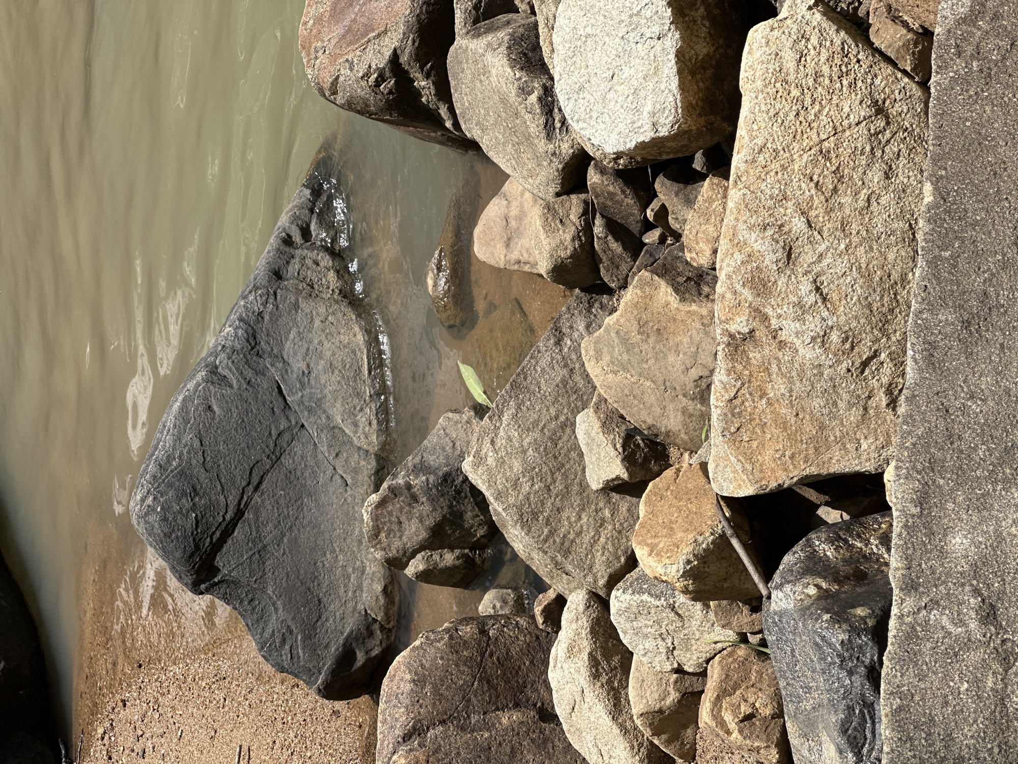 The image shows a rocky shoreline with calm, murky water. The rocks are of various sizes and colors, ranging from dark gray to light brown and white. Some of the rocks are partially submerged in the water, while others are on the shore. The shoreline is composed of sand and pebbles. A small, green leaf is visible in the water, near the shore. The scene appears to be a natural landscape, possibly a riverbank or a lake. There are no people or man-made objects visible in the image, except for what appears to be a stick lying on the rocks.
