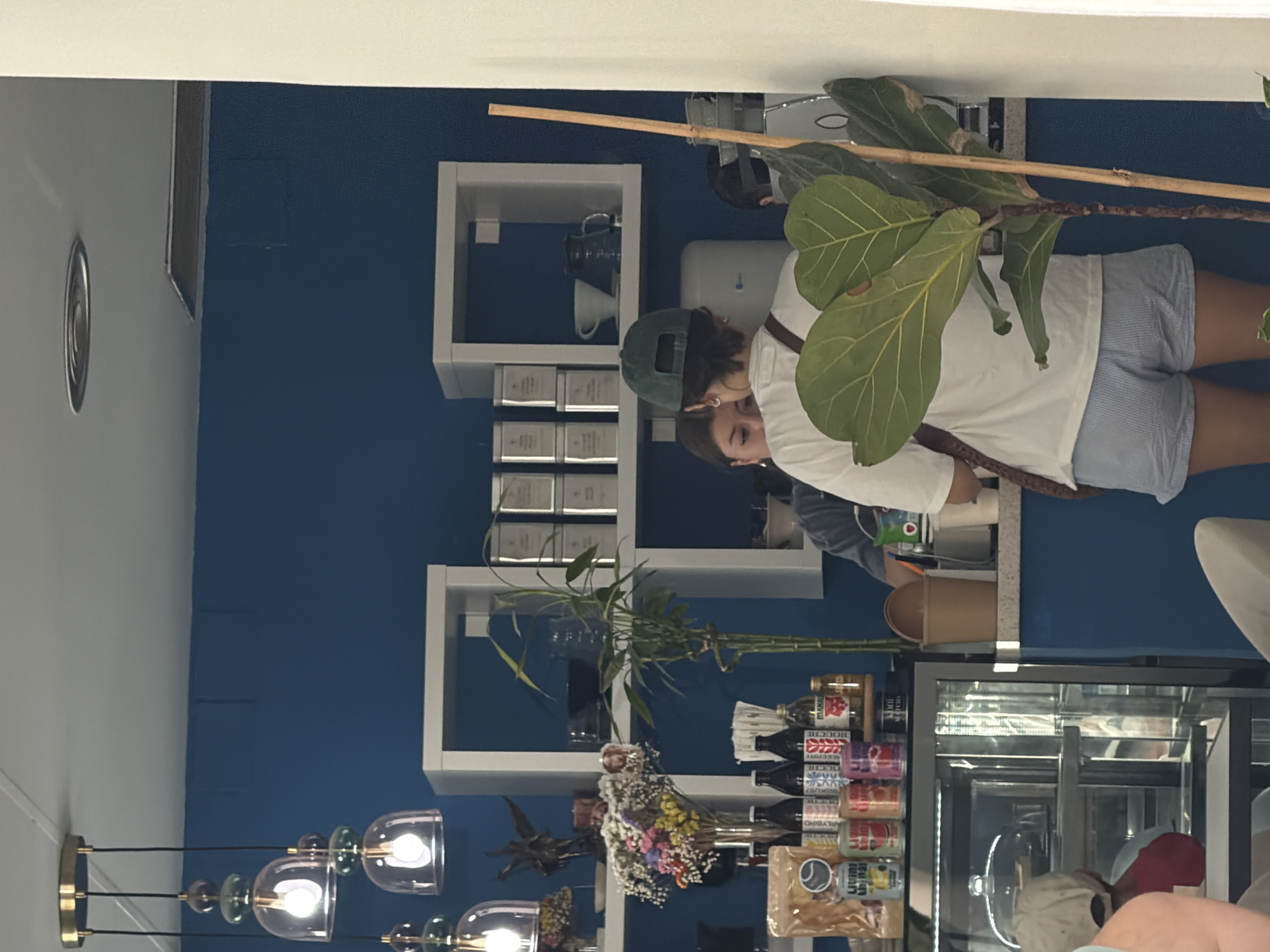 The image captures an indoor scene at what appears to be a cafe or coffee shop, with a dominant blue wall. In the foreground, a person wearing a green cap, white t-shirt, and striped shorts is standing with their back to the camera, facing a counter area. Another person, a woman with dark hair, is partially visible to the left of the person in the cap. Behind the counter, shelves are organized with various items, including what appear to be tea canisters, cups, and decorative elements like a bamboo plant and a bouquet of flowers. A glass display case filled with food items is visible on the left side of the image. A large potted plant with broad green leaves is positioned to the right of the central figure, partially obscuring the view of the background. The lighting suggests it is daytime.