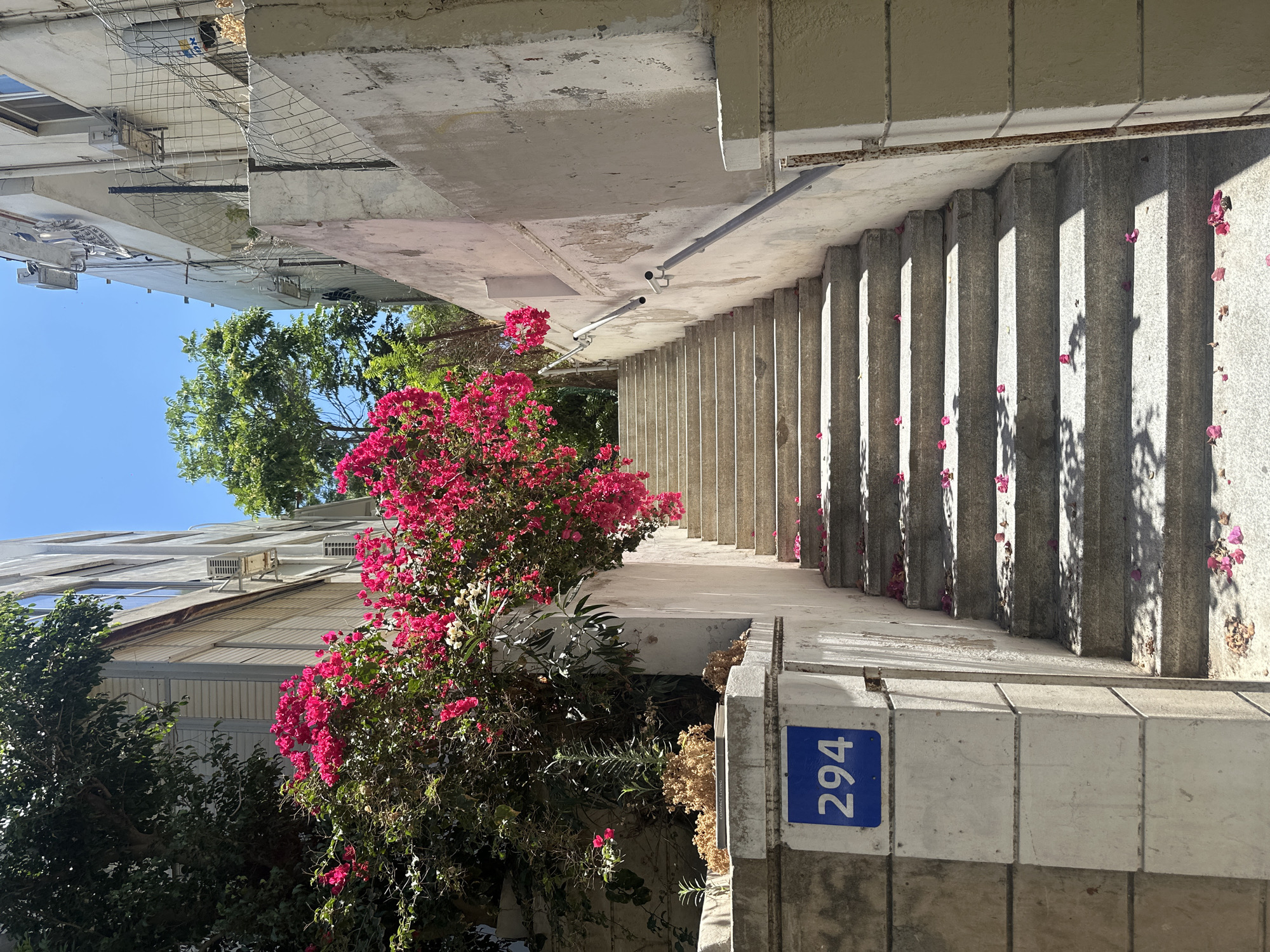 The image depicts an outdoor stone staircase in Tel Aviv, Israel, leading upwards between two buildings. The staircase is lined with a metal handrail on the right side. Abundant bright pink bougainvillea flowers cascade down from the left side of the frame, with some petals scattered on the steps. A blue house number sign with the number "294" is visible on a stone pillar to the left of the staircase. The overall scene is bathed in sunlight, casting shadows on the steps. The buildings flanking the staircase appear to be residential, with visible air conditioning units on their exteriors. The environment suggests a warm, sunny day in an urban setting.