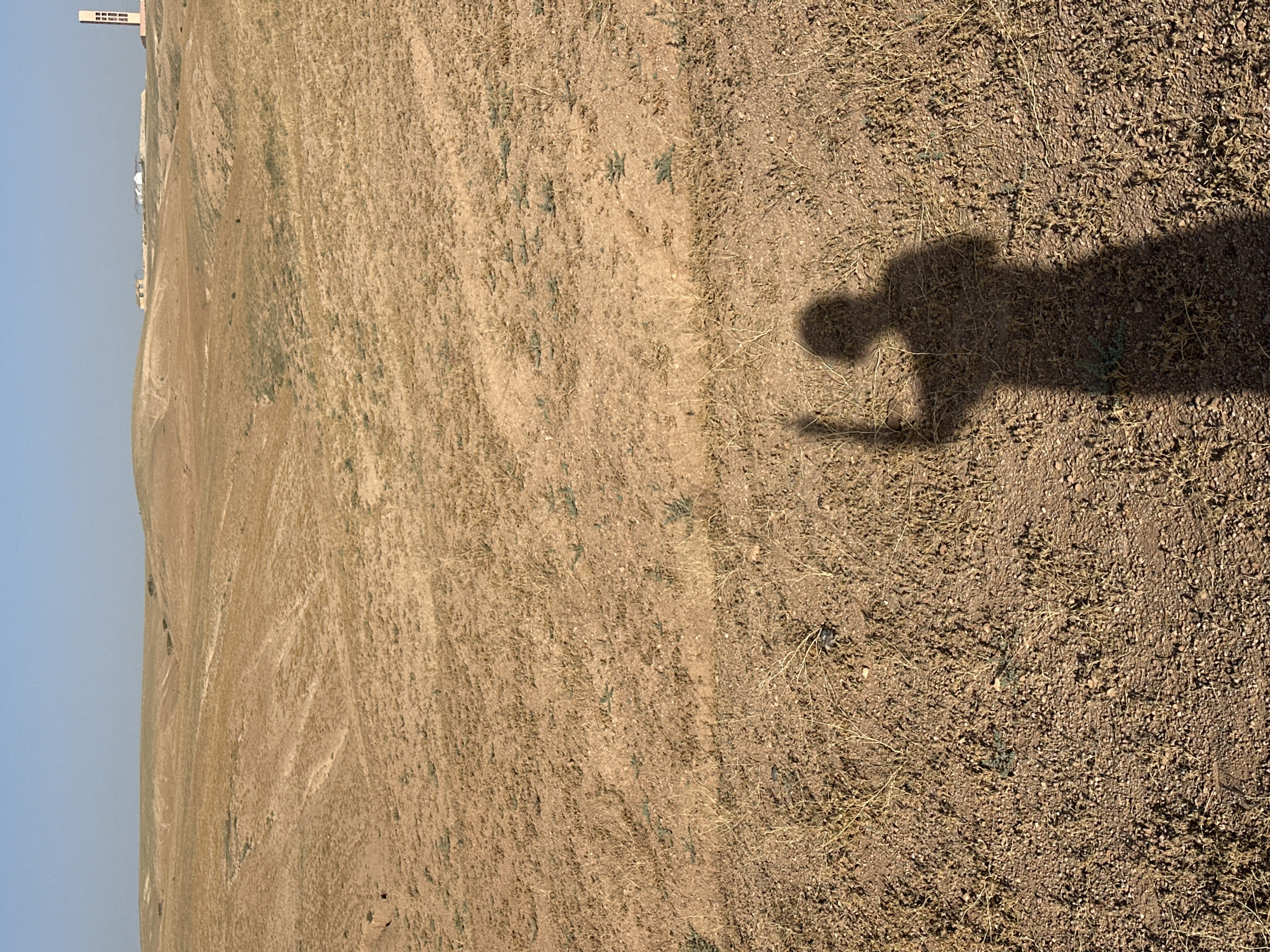 The image depicts a shadow of a person holding a phone, cast onto a dry, barren landscape of dirt and small rocks. Sparse vegetation is scattered throughout the ground. In the background, faint buildings are visible on the horizon, suggesting the location of Sidi Badhaj, Morocco. The sky is a pale blue, indicating a sunny day.