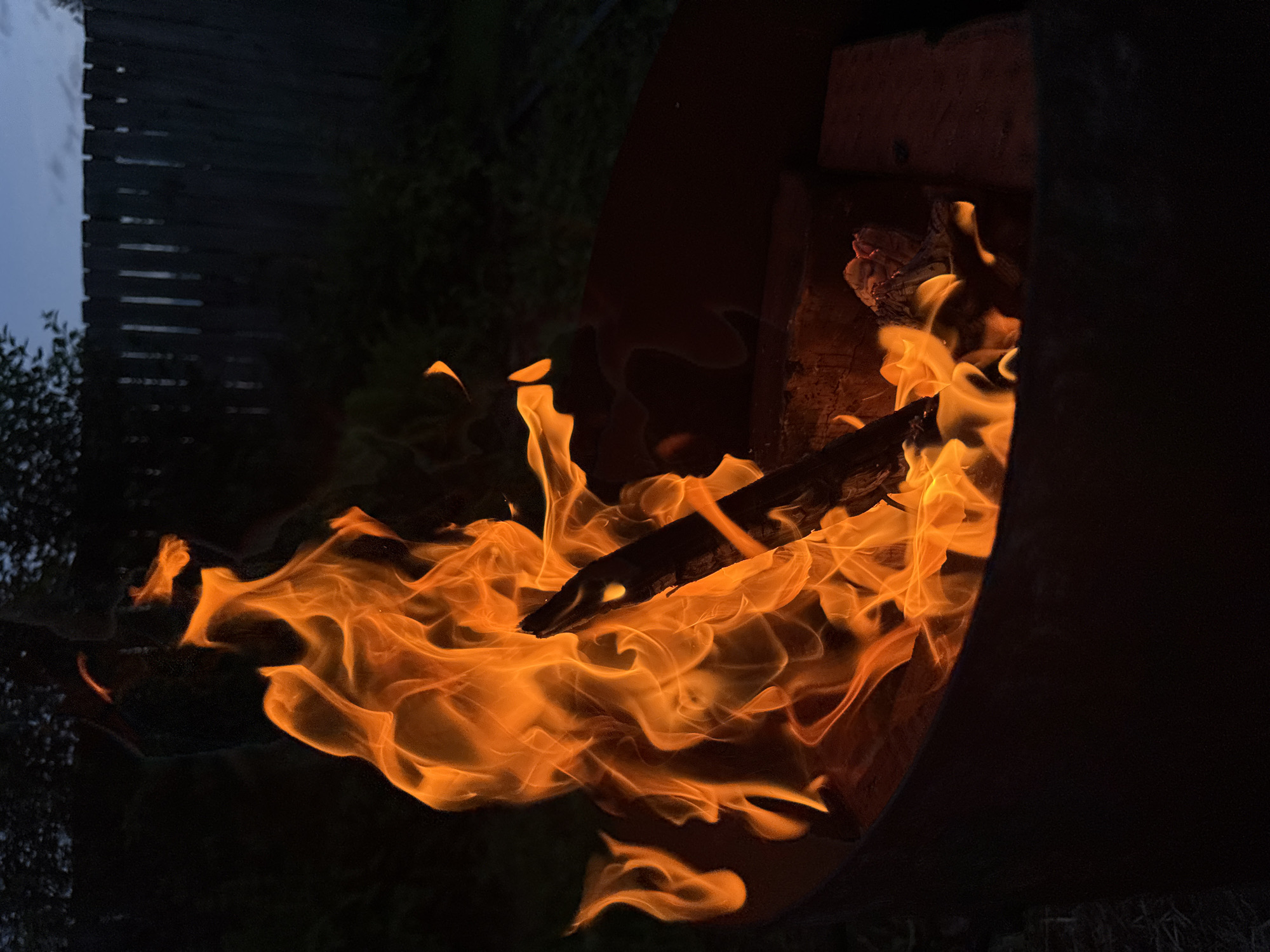 An outdoor bonfire burns brightly within a metal fire pit in Chaikovsky, Russia. The flames, a vibrant orange, are the primary subject, casting a warm glow against the darkening twilight sky. Behind the fire, a wooden fence can be seen, its vertical slats silhouetted against the faint light. The surrounding area is overgrown with dark foliage, contributing to the nocturnal ambiance. The fire pit itself appears to be made of weathered metal, with some reddish bricks visible inside, suggesting it is used for burning wood. The scene evokes a sense of a quiet evening, perhaps in a backyard or a designated outdoor gathering space.