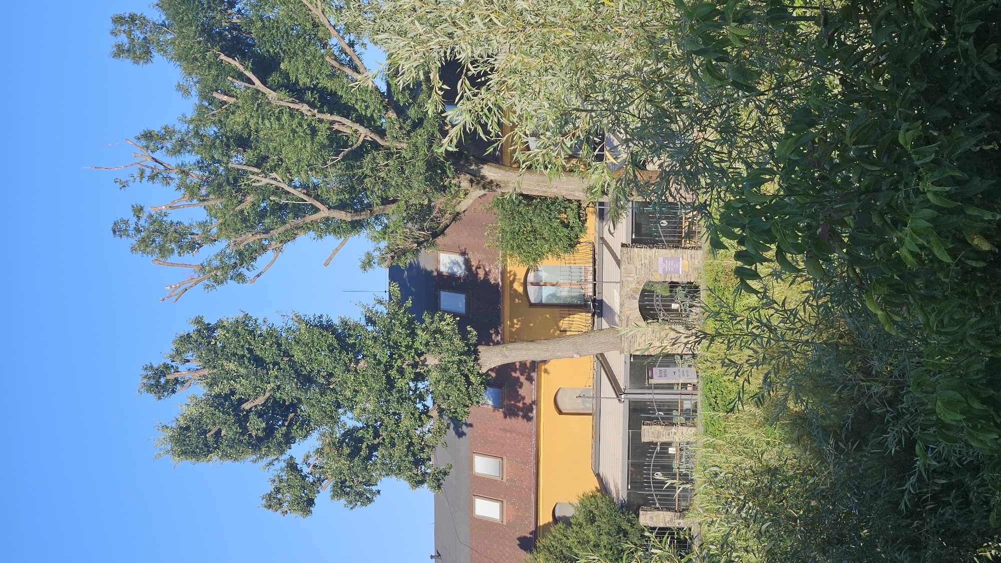 A sunlit, low-angle outdoor shot captures a building with an ochre-colored facade and a reddish-brown roof. Several dormer windows are visible on the roof, and two larger windows with balconies are on the facade. Two large trees with abundant green foliage frame the building, their branches extending upwards towards a clear blue sky. In the foreground, dense greenery and foliage obscure the lower part of the scene. The building appears to be a commercial establishment, possibly a restaurant or hotel, with covered outdoor seating visible behind a stone fence. The image does not contain any people, and no specific landmarks are identifiable to pinpoint a precise location within Prešov, Slovakia.