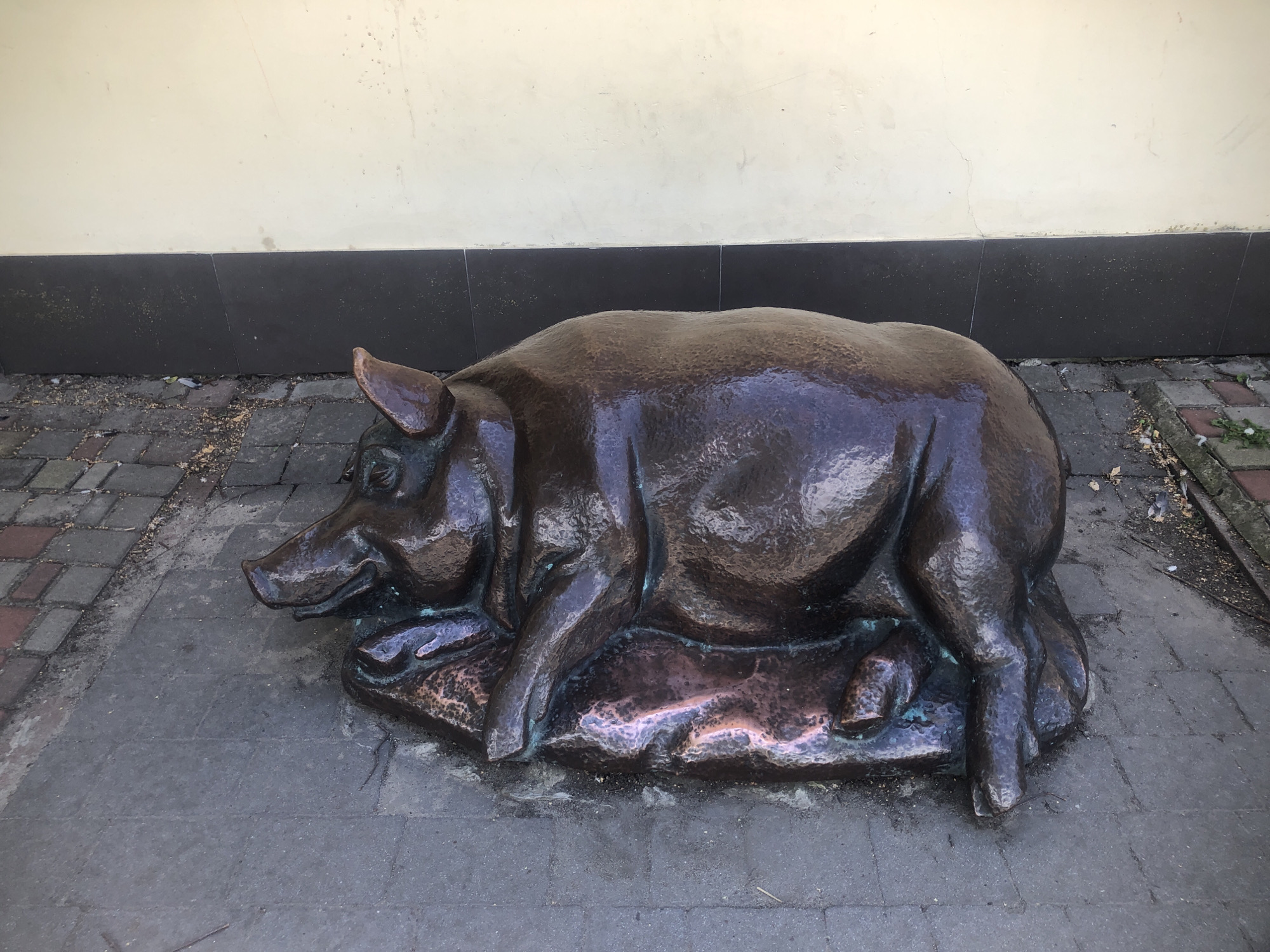 A bronze statue of a pig lies on its side on a paved surface. The pig is dark brown with a weathered patina, exhibiting a slightly reddish hue in some areas due to lighting. The statue is realistic in its depiction of a pig's body, with visible snout, ears, legs, and a rounded torso. The pig is positioned on a roughly textured base, also made of bronze, which appears to be fused with the statue. The paving stones beneath the statue are a mix of gray and reddish-brown rectangular blocks. Behind the statue, there is a dark gray tiled base that runs along the bottom of a wall. The wall itself is a light, creamy yellow color, showing some minor imperfections and hairline cracks. The ground area around the paved surface shows scattered debris, including leaves and small twigs. The overall environment suggests an outdoor urban setting, possibly a public space or courtyard.