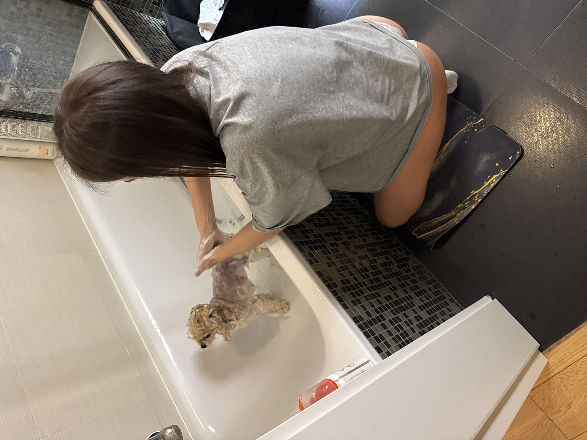 A person with dark hair, wearing a grey t-shirt and white socks, is kneeling on a black mat with gold accents next to a white bathtub. The person is washing a small, light-brown dog in the bathtub, using their hands and possibly a liquid soap contained in an orange and white bottle near the edge of the tub. The bathroom has a black tiled floor and a mosaic tile detail along the side of the bathtub. The scene is likely indoors and given the presence of the person and dog, it appears to be a private residence, possibly in Warsaw, Poland.
