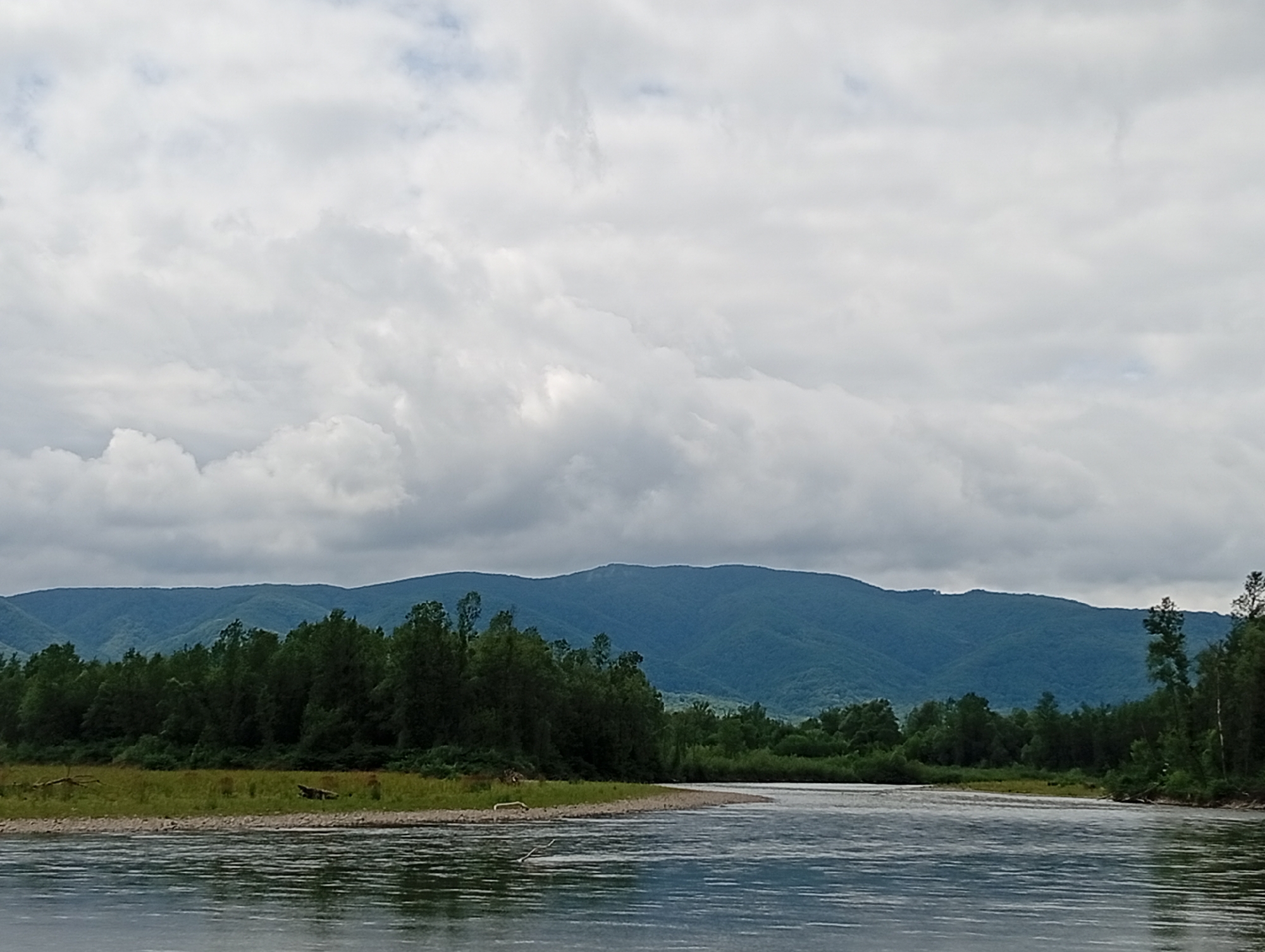 The image depicts a wide, calm river flowing through a natural landscape under a cloudy sky. In the foreground, the water exhibits ripples and reflections. The riverbank on the left is lined with dry grass and scattered debris, transitioning to a dense forest of green trees. Beyond the forest, rolling blue mountains form the background, their peaks shrouded in mist. The sky is filled with a thick layer of grey clouds, suggesting an overcast day. The scene appears to be a natural, undeveloped area, possibly a park or wilderness. There are no people or man-made structures visible in the image. The location is identified as Veliatyno, Ukraine.