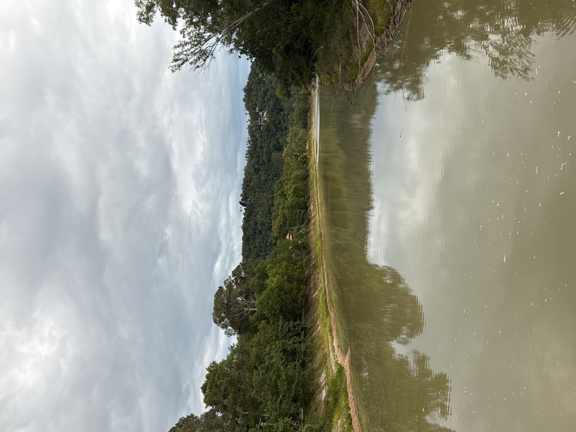 A serene view of a muddy river with lush green trees lining its banks under a cloudy sky, located in the Ko Samui District of Thailand. The water, a murky brown, reflects the overcast sky and the surrounding vegetation, creating a soft, diffused light. On the left bank, a sandy embankment gives way to a dense forest of tropical trees and smaller plants. The right bank is similarly forested, with some fallen branches visible near the water's edge. In the distance, the landscape rises into rolling hills covered in dense greenery, with a few scattered buildings peeking through the foliage, suggesting a residential area or resort. The sky is filled with a layer of grey clouds, indicating a possibly overcast or approaching rainy day. There are no people visible in the scene. The overall atmosphere is tranquil and natural.