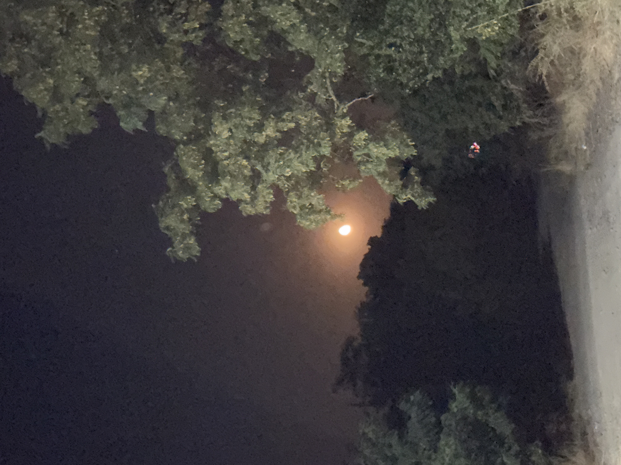 The image depicts a nighttime scene with a dirt road in the foreground, flanked by vegetation on both sides. In the background, a hazy orange moon is visible through the trees. The overall impression is of a rural or semi-rural setting, possibly in the village of Ekzarh Antimovo, Bulgaria, given the context. The lighting suggests it is dark, with the moon providing the primary illumination.