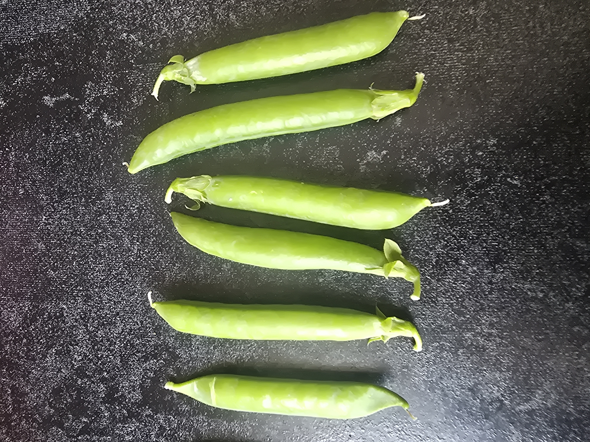 The media file shows a top-down view of six whole, unprocessed pea pods arranged vertically on a dark, textured surface. The pods are vibrant green and vary slightly in length and curvature. Each pod has a distinct stem or calyx at one end and tapers to a point at the other. The surface appears to be a countertop or tabletop with a speckled, gritty texture, possibly granite or a similar material, which is dark gray or black. The lighting is bright and seems to come from above, casting subtle highlights on the pods. There is no visible text in the image. The scene is simple and static, focusing solely on the natural presentation of the peas.