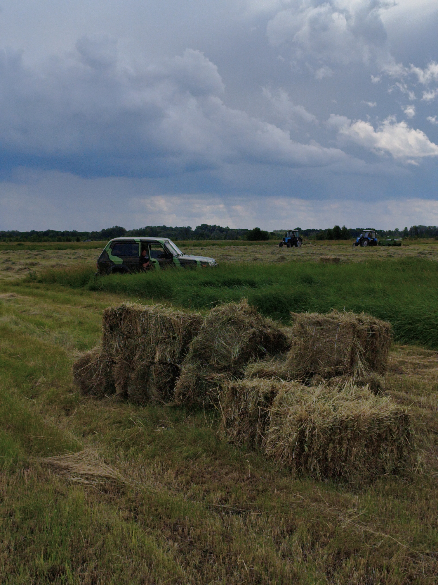Memory