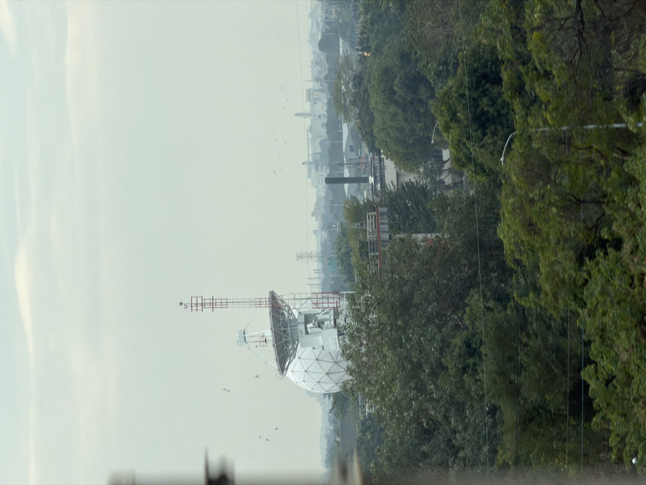 A radar installation dominates the view, partially obscured by lush trees. The radar features a white, geodesic sphere and an adjacent antenna. The background reveals a cityscape fading into a hazy sky. Birds are scattered in the sky. The lighting suggests overcast conditions. Utility poles and power lines cut through the foliage.