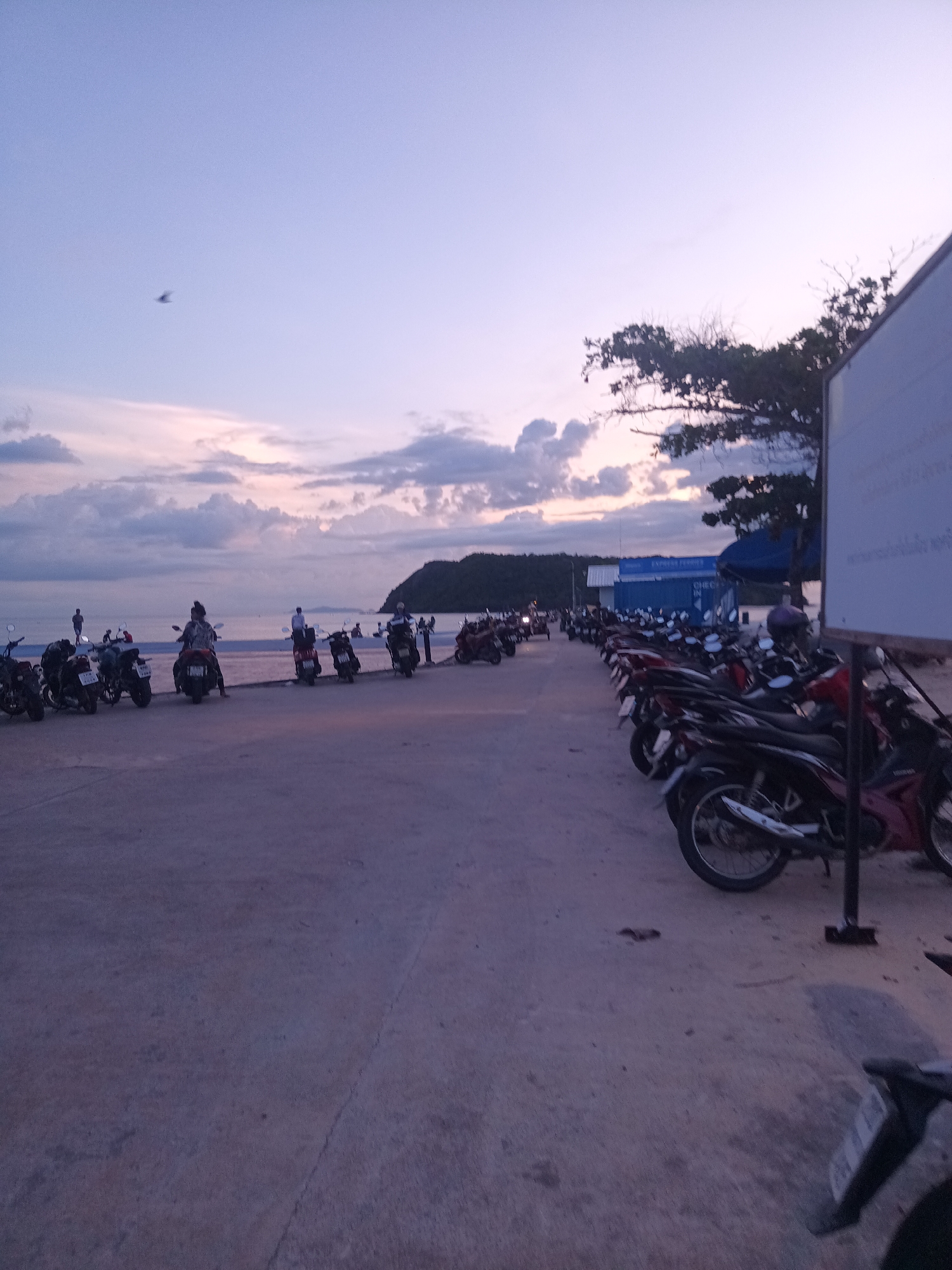 The image depicts a parking lot adjacent to a beach area during twilight in Koh Phangan, Thailand. A vast expanse of parked motorcycles fills the foreground and stretches into the mid-ground. Many of the motorcycles are red and black, with a variety of models visible. To the left of the frame, closer to the beach, a few individuals are present, some standing near motorcycles and others walking. The beach itself is visible in the mid-ground, with several more people scattered along its edge. In the background, the sea meets the horizon under a sky with soft, purple and pink hues, indicative of sunset or sunrise. Clouds are present in the sky. On the right side of the image, a white signpost with text is partially visible, and a tree with dark foliage is silhouetted against the sky. Beyond the parking area, there is a structure that appears to be part of a ferry terminal or a building near the water, with a blue awning. The overall scene suggests a popular gathering spot where people arrive by motorcycle to enjoy the beach and the coastal environment.
