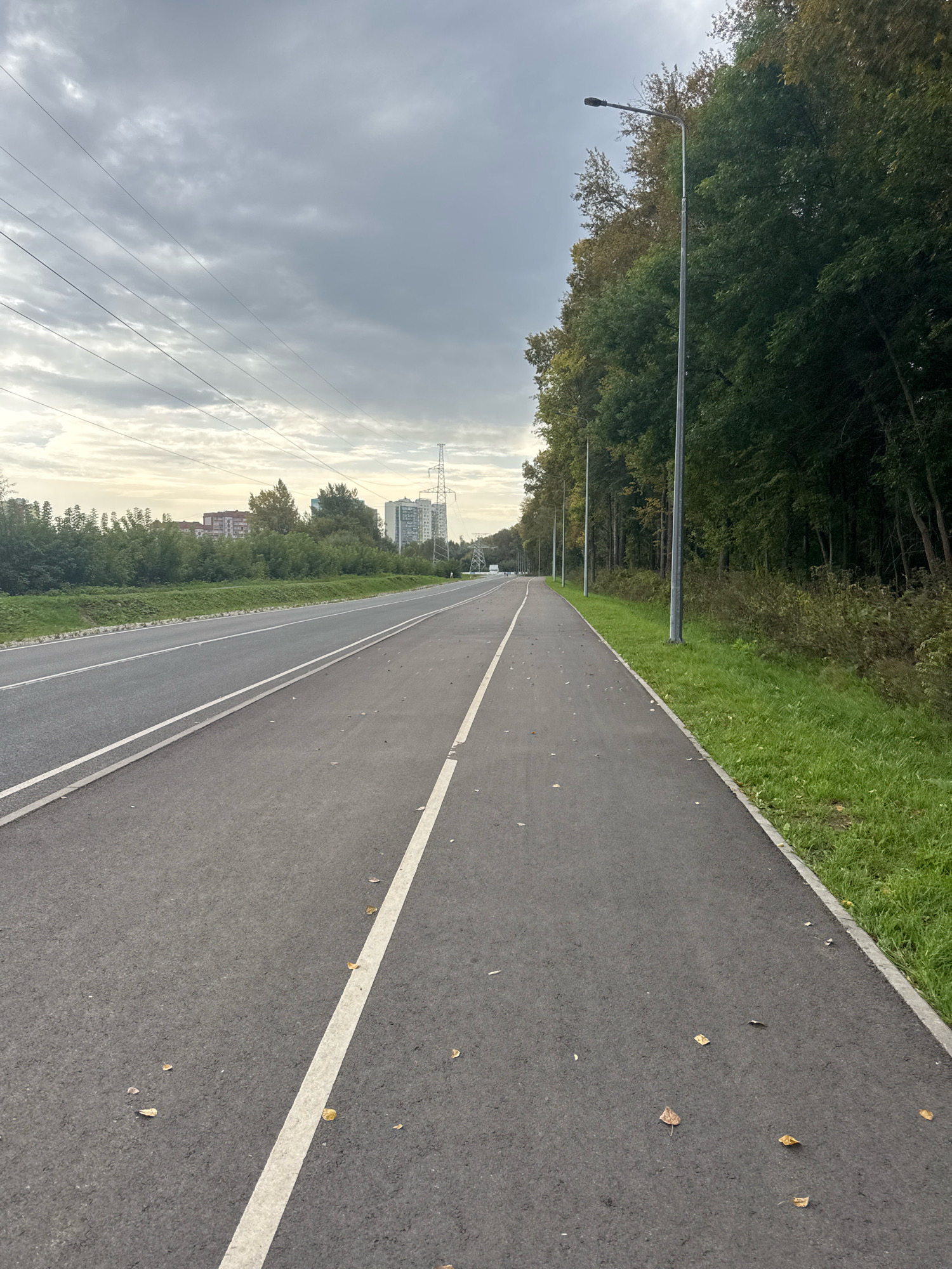 An asphalt path, possibly a bike or pedestrian lane, is visible in the foreground, marked with a white line. The path runs alongside a road with multiple lanes. On the right side of the path, a line of tall trees forms a dense forest, with some fallen leaves scattered on the ground. On the left side of the road, there are more trees and some urban buildings in the distance. Overhead, power lines stretch across a cloudy sky. The scene appears to be located in a park or suburban area within the city of Ufa, Russia.