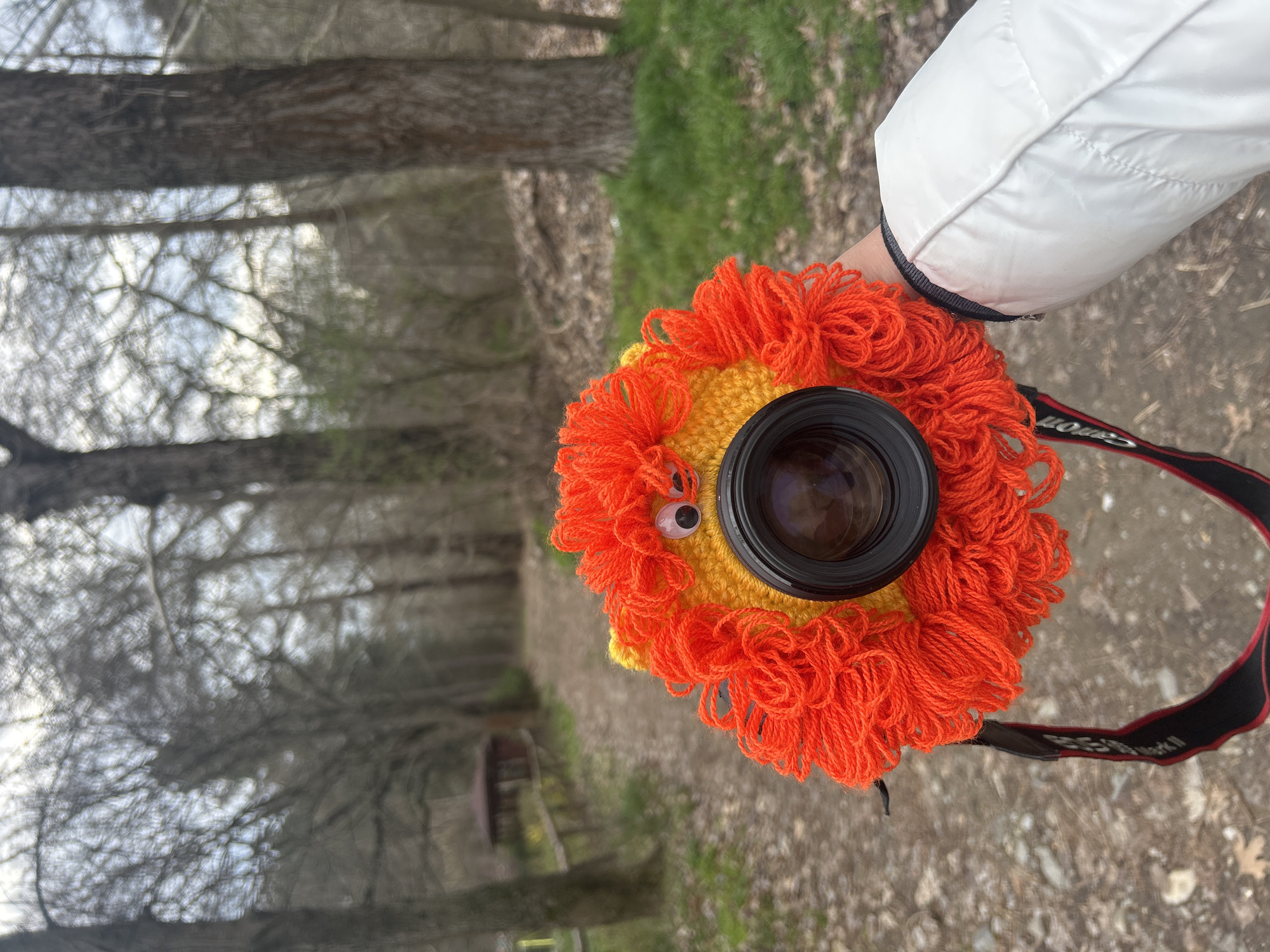 A person's right forearm and hand, wearing a white puffer jacket with a black cuff, holds a camera in the city of Parvenets, Bulgaria. The camera is equipped with a dark lens and covered by a custom, knitted, lion-themed cozy featuring bright orange yarn as a mane, yellow yarn for the face, and two googly eyes. A black camera strap with red "Canon" branding is visible. The background is a blurred outdoor scene with a dirt path receding into a wooded area of deciduous trees with mostly bare branches. Patches of green grass are present on either side of the path. A small, weathered wooden gazebo with a dark roof is visible in the middle ground, to the left of the path. The sky is overcast.