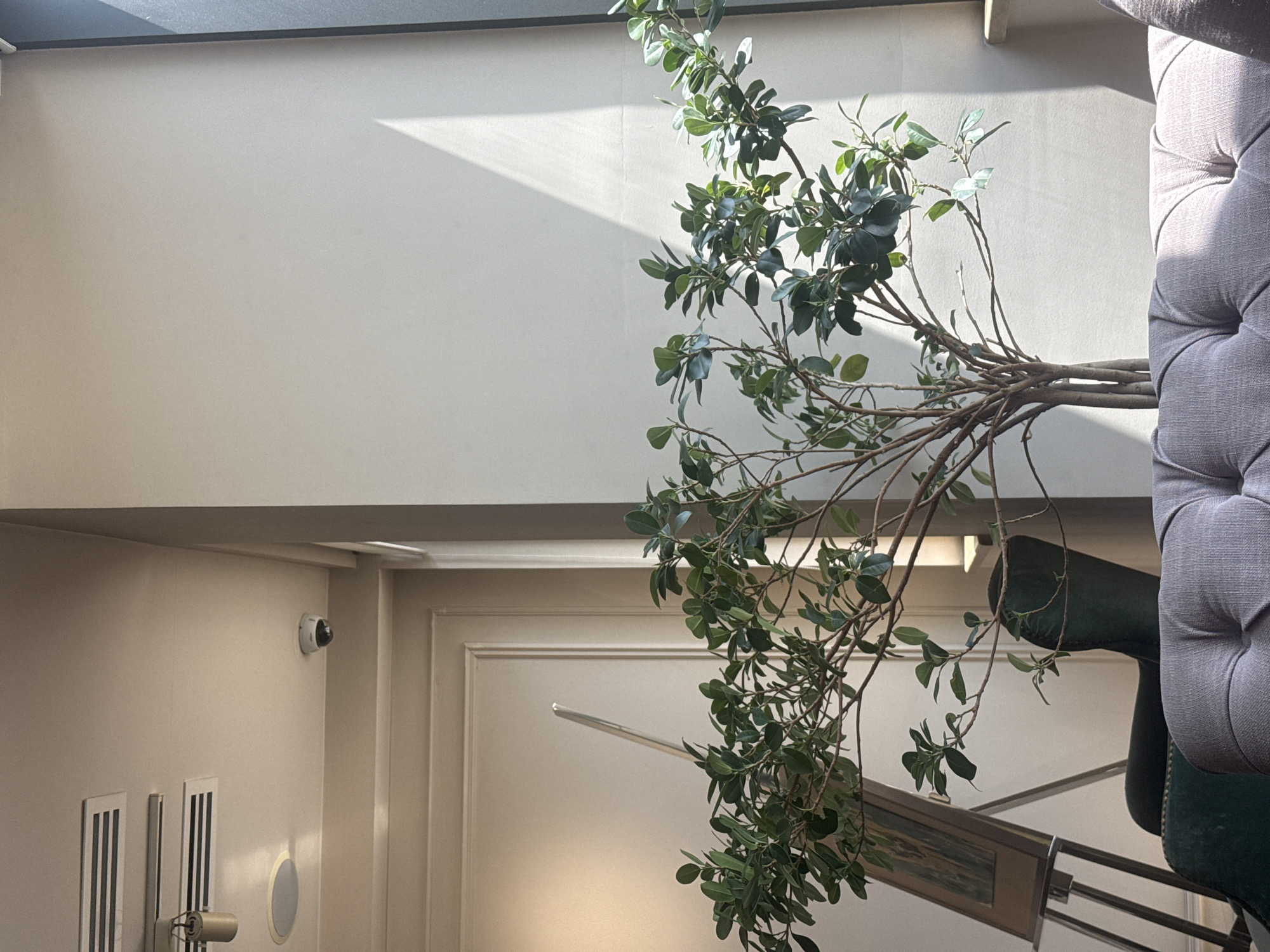 The image depicts an interior scene with a neutral color palette. A large potted plant with green foliage dominates the view, obscuring parts of the background. To the right, a portion of upholstered furniture is visible. In the lower-left, a wall features air vents, a speaker or electrical outlet, and a security camera. Further into the background, there is a framed opening or doorway. The location and any activities within are ambiguous.
