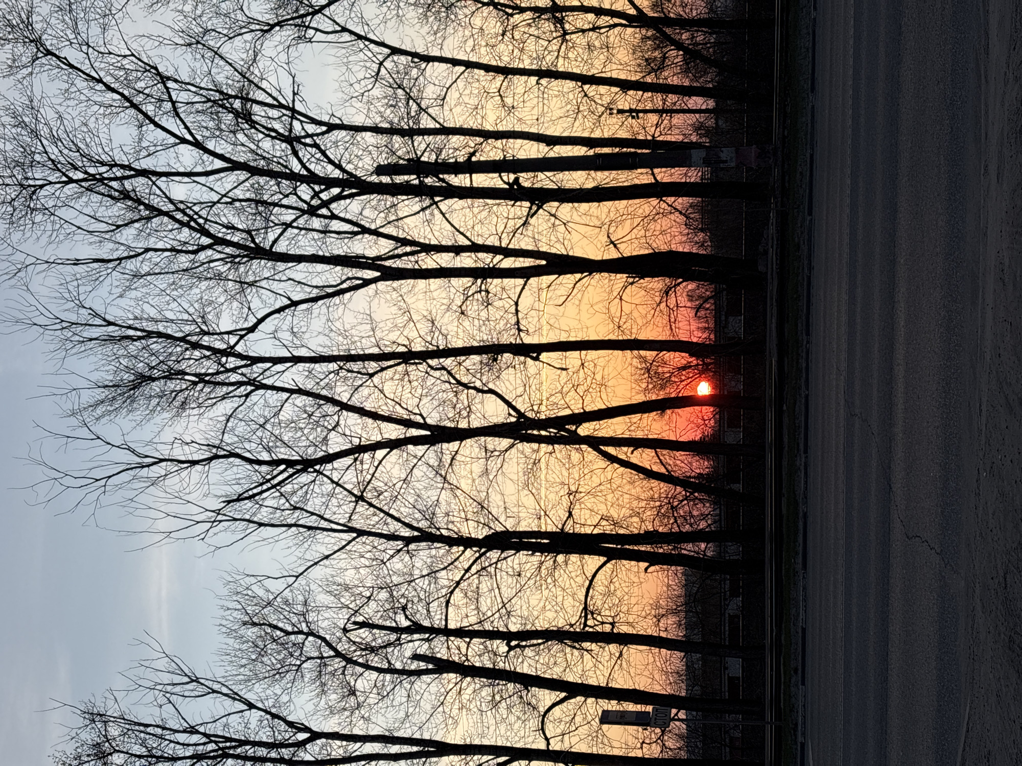 The image depicts a serene sunrise or sunset scene, taken in Ulyanovsk, Russia. The most prominent subjects are a line of bare, deciduous trees silhouetted against a vibrant sky, bordering an asphalt road.
The sky transitions from a bright, deep red and orange at the horizon, where a circular red sun is partially visible through the tree branches, to lighter shades of orange and soft blue-grey higher up. The intricate network of leafless tree branches creates a stark, dark silhouette against the colorful backdrop, suggesting either late autumn, winter, or early spring.
To the right of the trees, a dark asphalt road stretches horizontally across the frame. It appears to be a rural or less-trafficked route, possibly a shoulder or secondary road. Subtle details on the road suggest wear, with faint cracks visible.
A notable detail is a white rectangular sign partially visible among the tree branches and next to the road, featuring the Cyrillic text "СТОП" (STOP), indicating a stop sign or a similar warning. The overall mood of the image is calm and picturesque, capturing the beauty of a twilight hour with natural light.