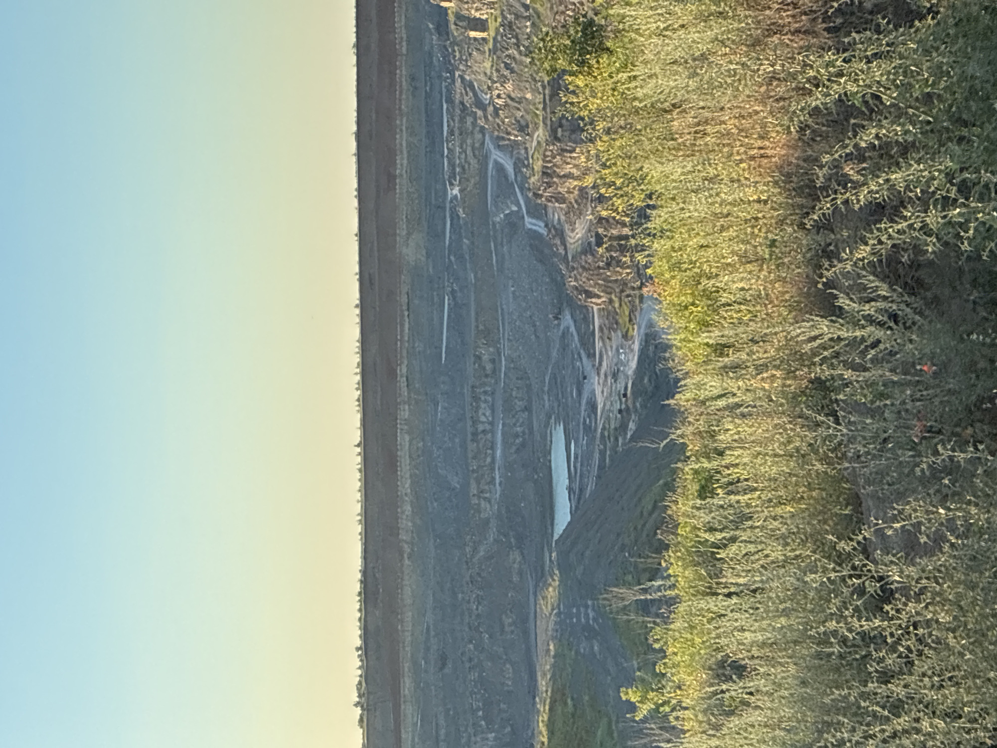 The image depicts an aerial view of a quarry with tiered walls, likely a mining operation, in Tatsinskaya, Russia. The quarry floor is uneven, with some areas showing water accumulation, forming a small, shallow pool. Lush green vegetation lines the upper edges of the quarry, cascading down in some areas. The sky is a soft gradient of light blue transitioning to pale yellow, suggesting it is either early morning or late afternoon. The lighting casts a warm glow on the vegetation, highlighting its texture. There are no people or explicit man-made objects visible other than the quarry itself. The overall scene conveys a sense of scale and the raw, natural beauty of an industrial landscape interacting with the environment.