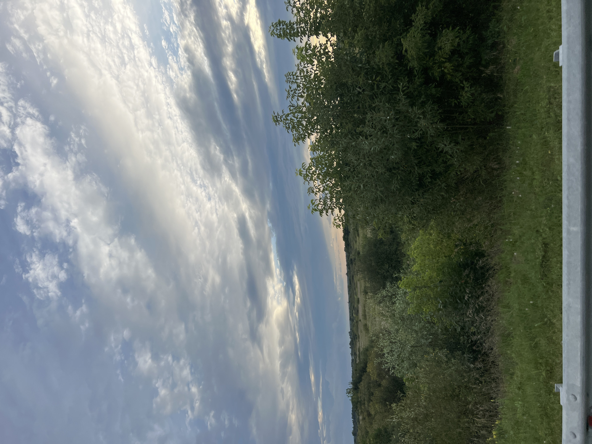 The image depicts a natural landscape under a cloudy sky, likely in or around Bolshoy Oyosh, Russia. In the foreground, a gray metal barrier, possibly part of a road or bridge, runs horizontally across the bottom of the frame. Beyond the barrier, a field of green grass and various types of vegetation, including bushes and trees with dense foliage, stretches into the mid-ground. The vegetation is varied in color and texture, ranging from light green to darker shades. The background reveals a flat, open expanse of land, likely fields or meadows, with a line of trees on the horizon. The sky is filled with a dramatic display of clouds, with streaks of white and gray against a pale blue backdrop, suggesting either dawn or dusk. The lighting is soft and diffused. There are no people or animals visible in the scene, and no specific actions or interactions are taking place. The overall impression is one of a serene, natural environment.