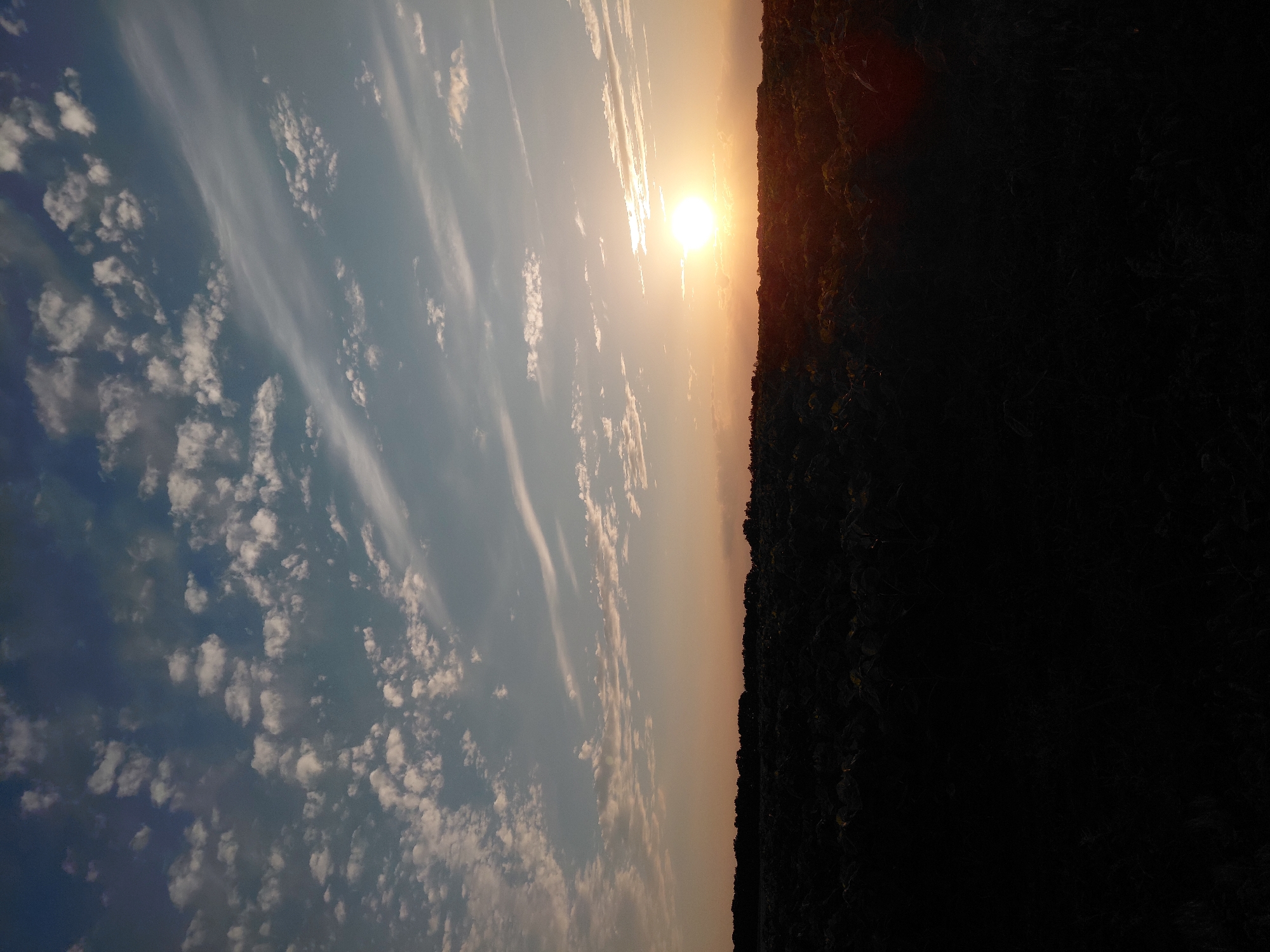 The media file captures a sunset over a silhouetted landscape, likely a forest or dense vegetation. The sun is a bright, luminous orb near the horizon, casting a warm glow that transitions into a soft orange and pink hue across the sky. Wispy, elongated clouds stretch across the upper portion of the image, with scattered, smaller cumulus clouds dotting the sky. The lower half of the image is dominated by the dark silhouette of the land, with no discernible details of its features. The overall mood is serene and tranquil, evoking the peacefulness of a day's end. The scene is presented in a vertical orientation, with the horizon running from the bottom right to the top left. The time of day is clearly sunset, and the weather appears clear with some cloud cover. There is no visible text in the image.