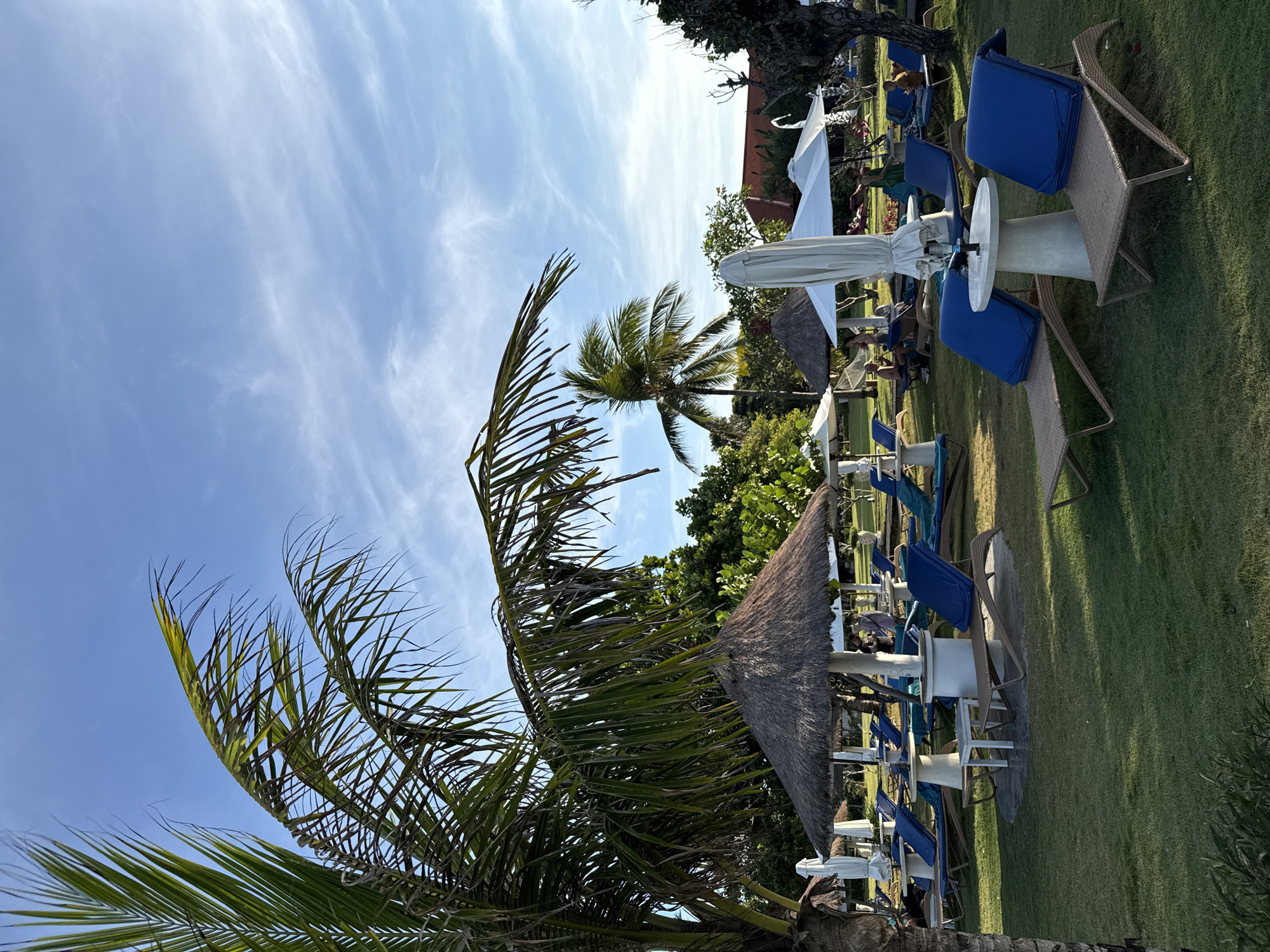 The image captures a scene in Kuta Selatan, Indonesia, featuring beach furniture under palm trees against a bright blue sky with wispy clouds. In the foreground, a large palm tree dominates the left side. Moving towards the center and right, the scene transitions to a grassy area where beach loungers and umbrellas are set up. The loungers have blue cushions and are placed around small white tables or bases. Thatched umbrellas and white parasols provide shade. The environment is suggestive of a resort or beach club, with the scene capturing a relaxed, sunny ambiance. Some individuals can be seen in the background, adding to the sense of activity in the area.