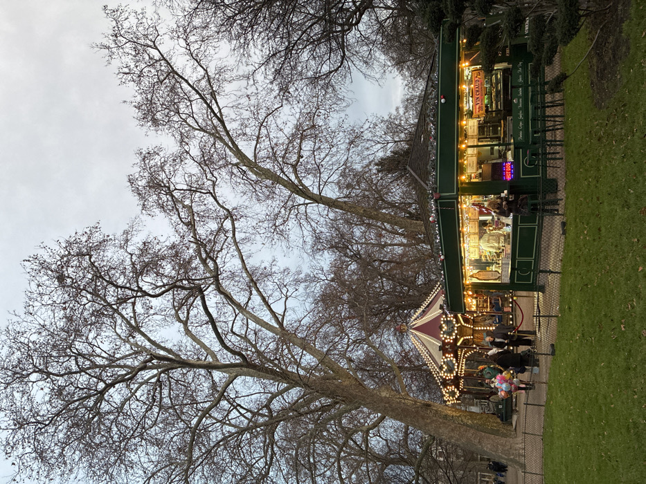 This image depicts an outdoor festive scene, likely a winter market or fair, in Paris, France. The setting is dominated by numerous tall, bare deciduous trees with intricate branches extending across the frame, suggesting late autumn or winter. The sky is overcast and light gray.
In the middle ground, a vibrant green food stall with a dark roof and warm interior lighting stands out. Decorative string lights adorn its exterior. Visible signs on the stall advertise "VIN CHAUD" (mulled wine), "Crêpes", "Gaufres" (waffles), "Hot Dog", "Churros", and "Sandwichs", with some prices partially visible, such as "HOT DOG 3.50€" and "2.00 €". Several individuals are gathered around the stall, either purchasing items or waiting.
Adjacent to the food stall, a small, brightly lit carousel with a distinctive red and white striped canopy adds a playful element. Its numerous lights are illuminated, creating a cheerful glow. People, including children, are seen near the carousel, with one person holding a bunch of colorful balloons.
The ground features patches of green grass on the right side of the image and what appears to be a paved pathway in front of the attractions. The artificial illumination from the stall and carousel, combined with the subdued natural light, indicates that the scene is taking place at dusk or in the early evening. The overall atmosphere appears lively and festive despite the cold weather suggested by the bare trees.