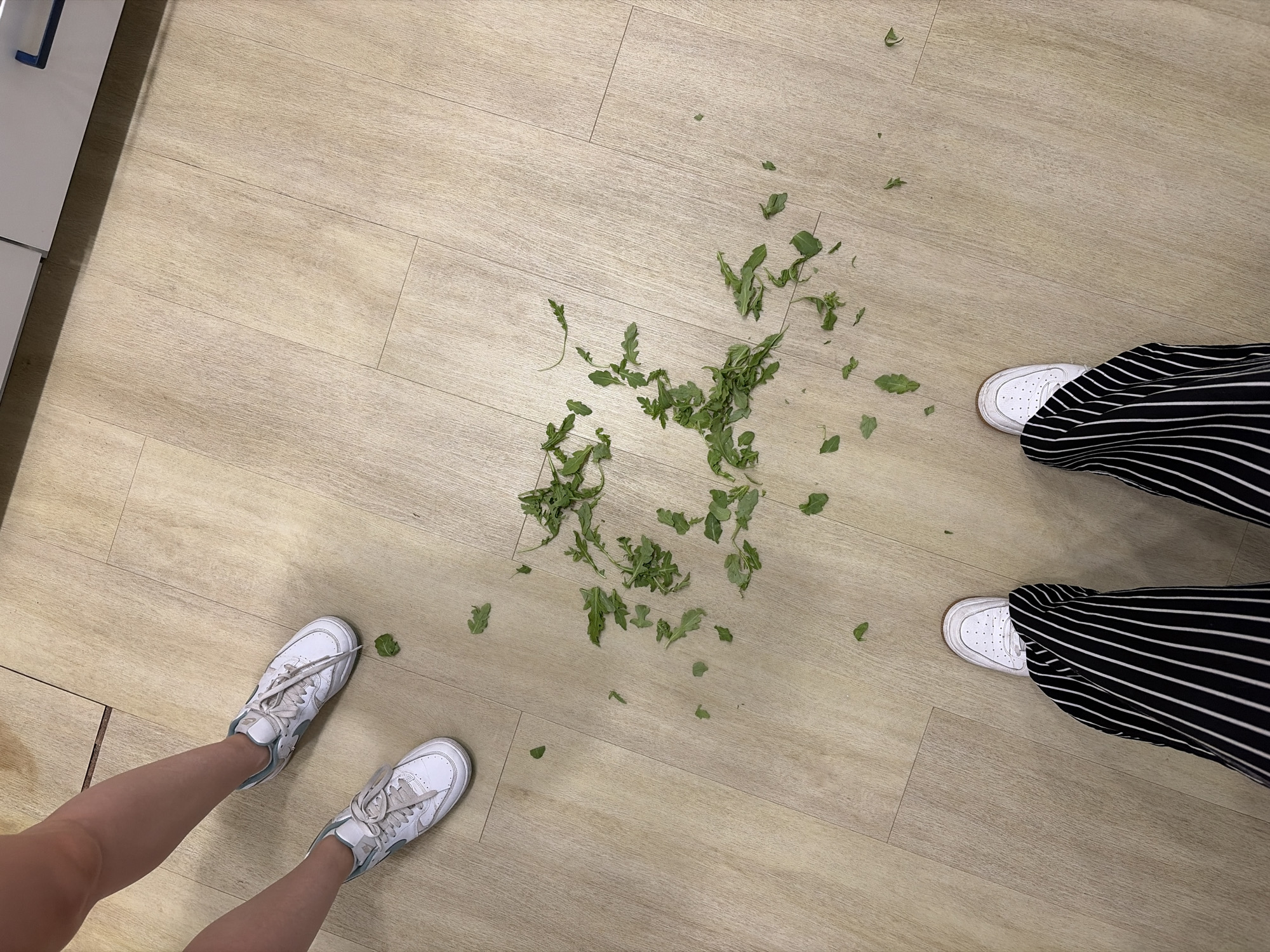 In an indoor setting with light-colored wood-grain flooring, two pairs of feet are visible. The upper pair, belonging to a person wearing white sneakers, stands near the top left of the frame. The lower pair, adorned with white sneakers and black and white striped pants, is positioned at the bottom center. Scattered across the floor between the two individuals are numerous green arugula leaves, some intact and others appearing chopped or torn.