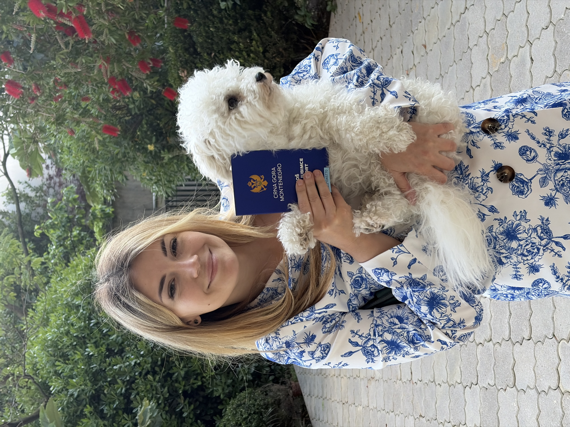 A young woman with long blonde hair smiles warmly at the viewer, holding a small, fluffy white dog in her arms. She is wearing a white garment with an intricate blue floral pattern and brown buttons. Her left hand holds a dark blue passport against the dog's chest, while the dog, with its curly white fur, looks upwards and slightly away from the camera.
The passport prominently displays "CRNA GORA MONTENEGRO" and the Montenegrin coat of arms on its cover. Partially visible text includes "LJUBIMCE" and "ORT," along with a partial number sequence "21045770" on the bottom right corner.
The setting is outdoors during a bright day. Behind the subjects is a lush backdrop of green foliage, with several vibrant red bottlebrush flowers visible in the upper left. The ground beneath them is paved with distinctive light-colored, scale-like or fish-scale shaped tiles. The woman's smiling expression conveys a sense of happiness and contentment. The passport confirms the location context of Montenegro, suggesting the scene is in Budva.
