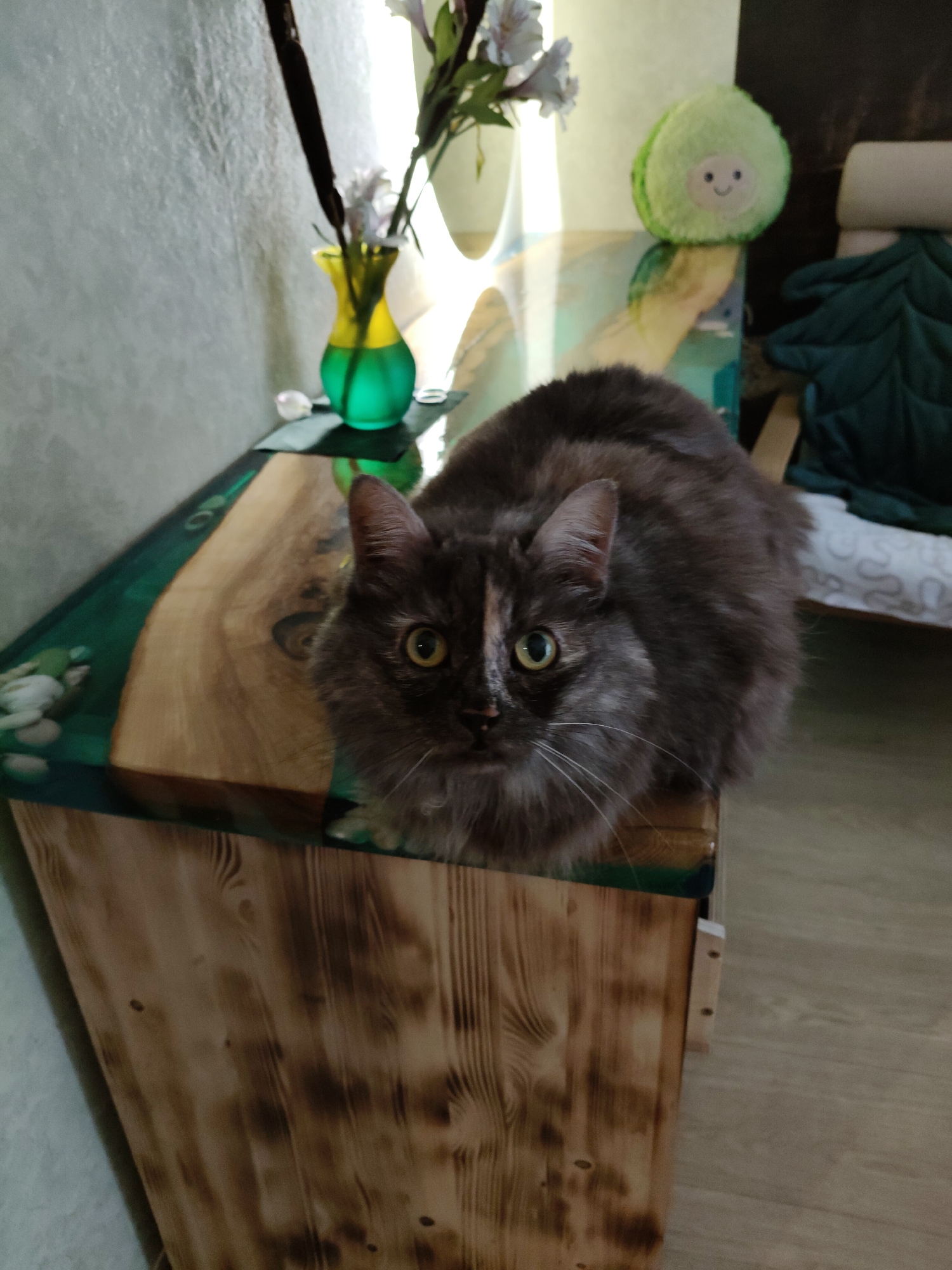 A tortoiseshell cat with yellow eyes is sitting on a wooden table with a green epoxy resin inlay. The cat is in the foreground, facing the camera. In the background, there is a vase with flowers, a plush toy, and a chair. The scene appears to be indoors, possibly in a home. The location in the city of Bol'shoye Kozino, Russia is not evident from the image.