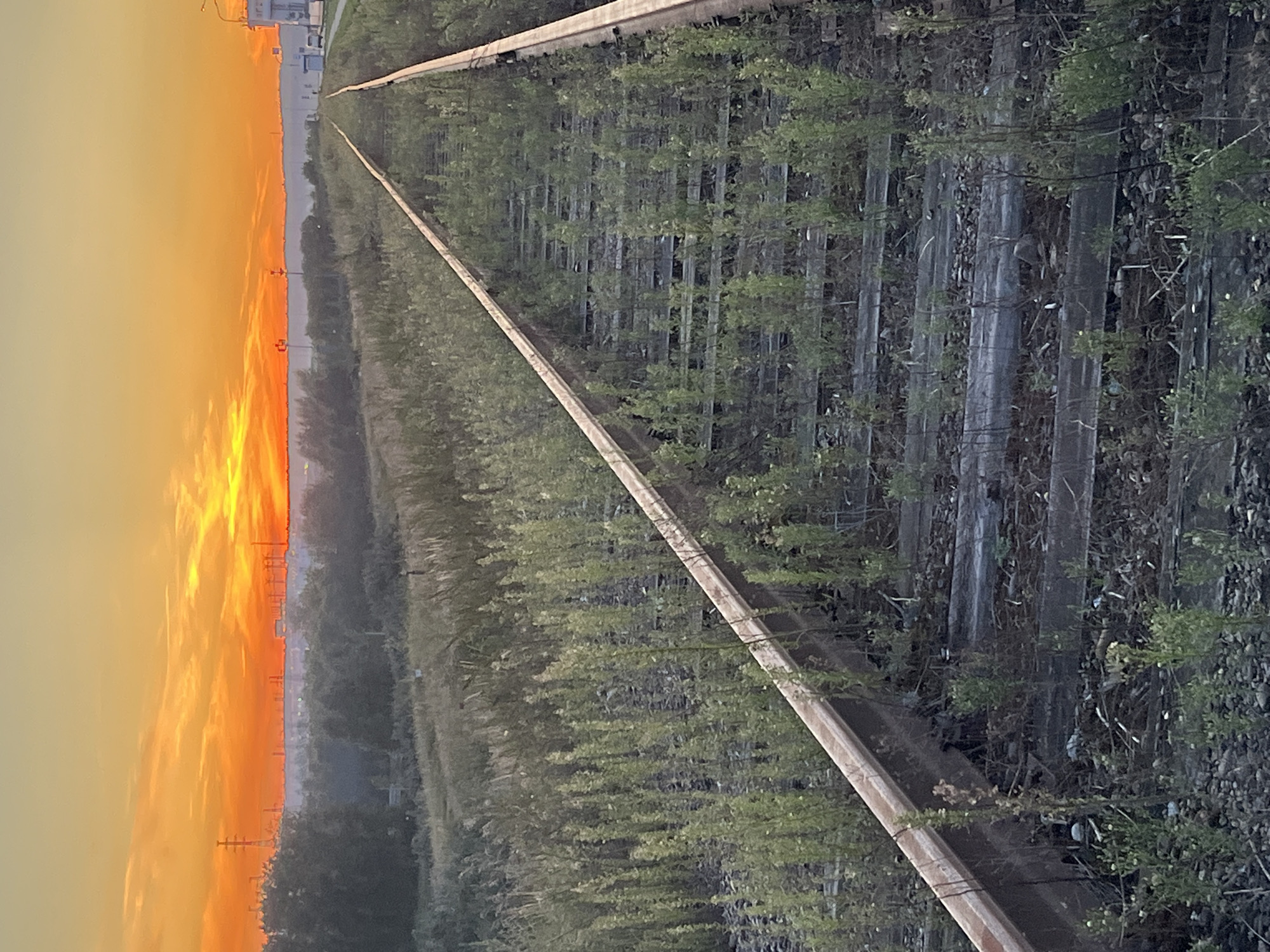 The image shows a pair of abandoned railway tracks overgrown with vegetation, stretching towards a hazy horizon under a vibrant orange and yellow sunset. The tracks are made of metal rails resting on wooden sleepers, with gravel ballast visible between them. Numerous green plants and weeds have grown through the sleepers and along the sides of the tracks, indicating disuse. In the background, a line of trees and industrial structures can be seen, silhouetted against the bright sky. To the right of the tracks, a road or paved area with some vehicles and buildings is visible, suggesting the presence of an industrial or urban area adjacent to the railway. The overall scene evokes a sense of decay and nature reclaiming man-made structures. The location is identified as Chaikovsky, Russia.