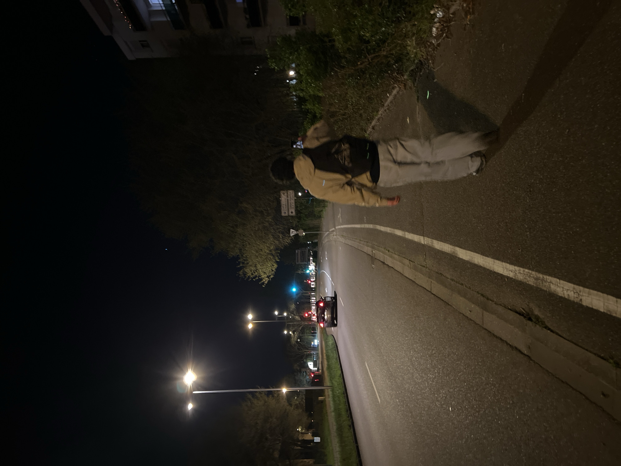 The image shows a person standing on the edge of a road at night in Hoenheim, France. The person is wearing a light-colored jacket, a dark vest, and light-colored pants, and is holding a cell phone. The person is facing away from the camera and towards a road with cars, streetlights, trees, and buildings in the background. The road has white lines marking the lanes.
