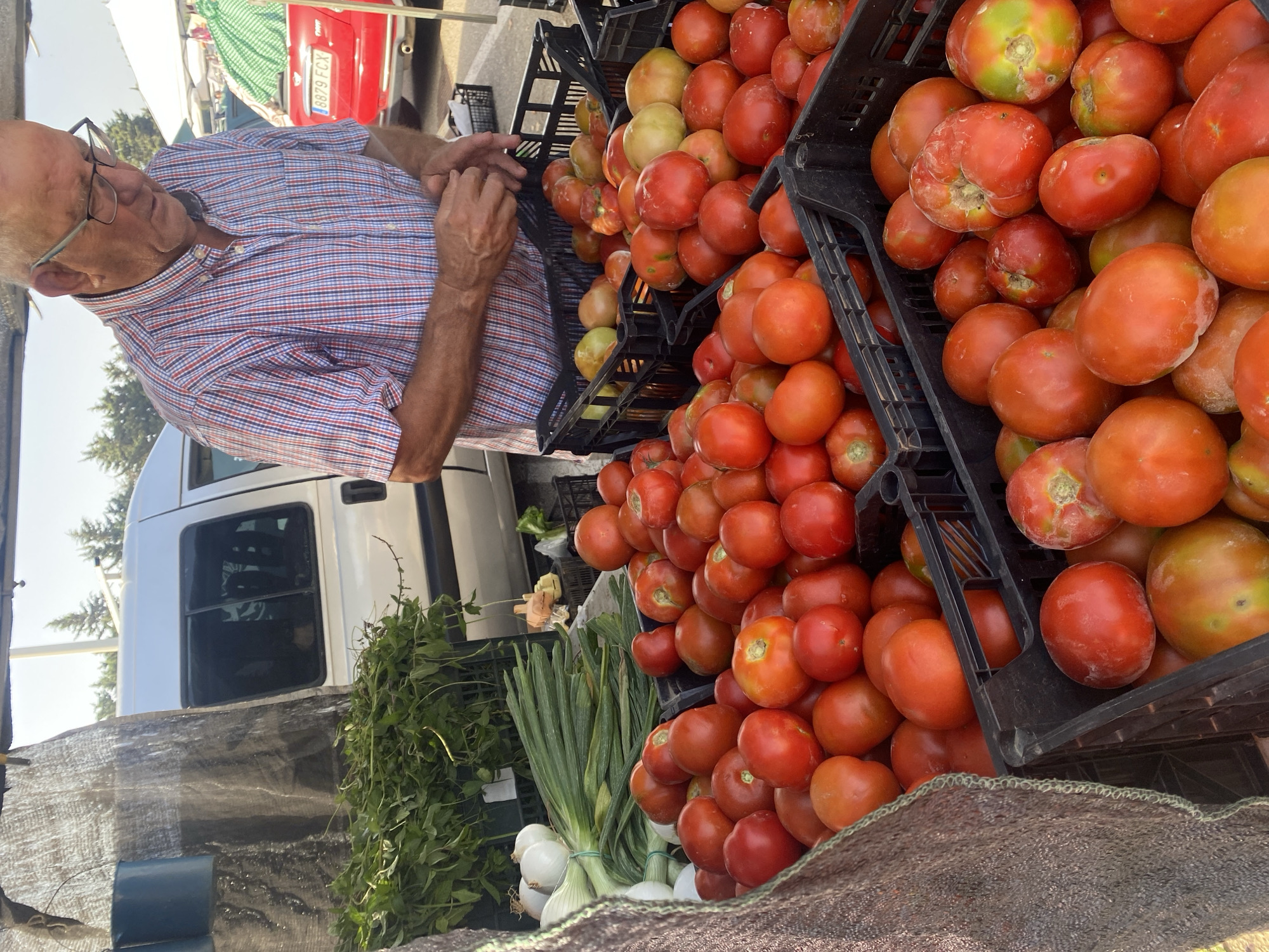 This is an outdoor market scene in Manilva, Spain. A man with glasses, wearing a red, white, and blue checkered shirt, stands behind a table displaying a large quantity of fresh tomatoes. The tomatoes are in black plastic crates, some full and overflowing. To the left of the tomatoes, bunches of green onions and white onions are visible, also in a black crate. A large, dark mesh tarp hangs to the left of the produce. In the background, a white van is parked, and a red car with a license plate that appears to read "8879 FCX" is also visible. The environment suggests a sunny day, likely in a rural or semi-rural setting.