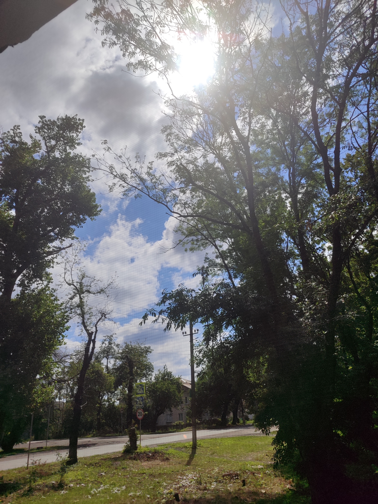 The image depicts an outdoor scene looking up through trees towards a bright, partly cloudy sky. Sunlight is visible, creating lens flares and washing out parts of the sky and foliage. The trees are lush and green, with some bare branches interspersed. In the background, a street is visible with a sidewalk, a few buildings, and a speed limit sign showing "20". The ground in the foreground is covered with grass and some litter. The overall impression is one of a natural setting within an urban environment.