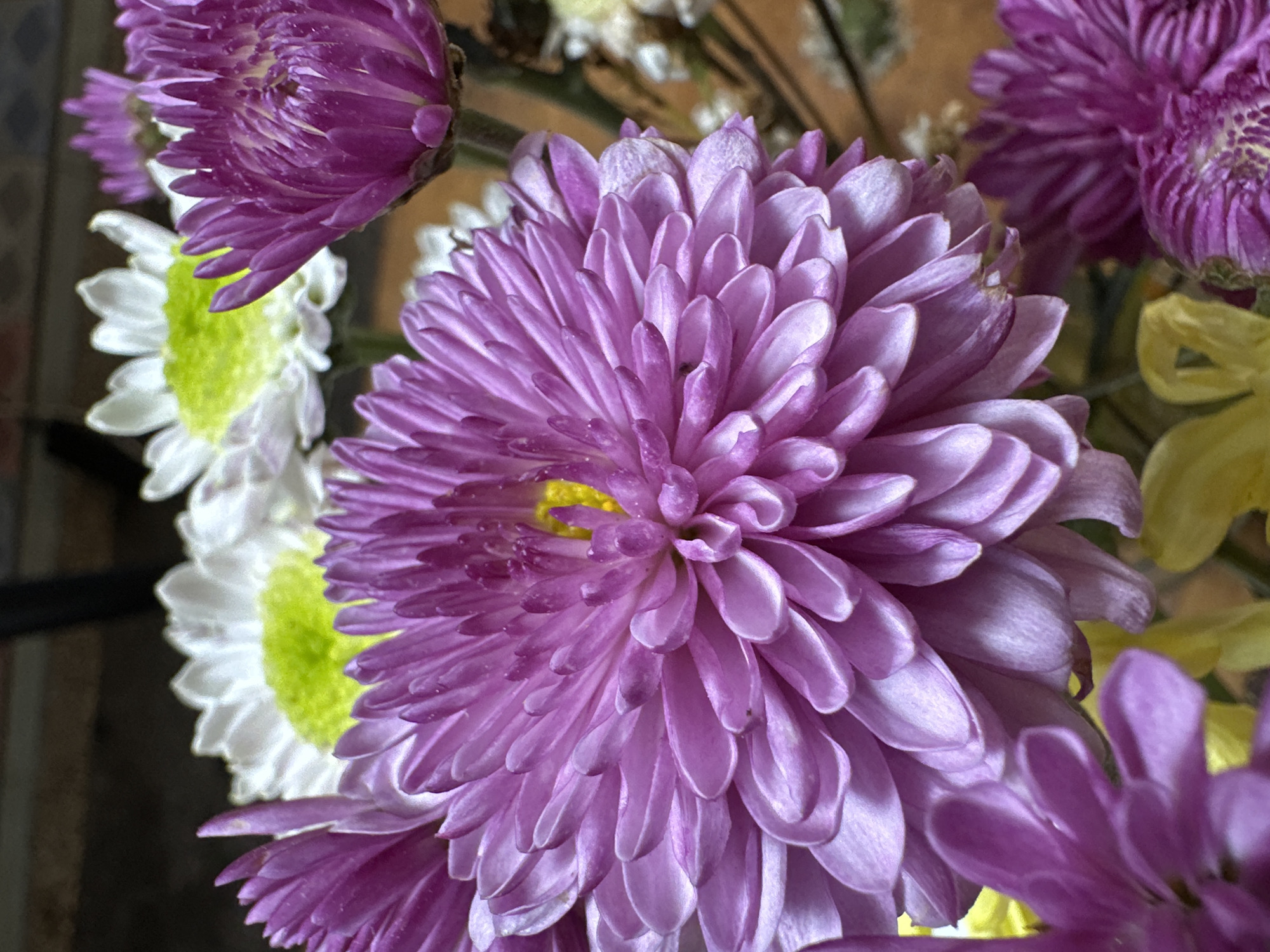 A close-up, vertical, eye-level shot features a bouquet of chrysanthemums. The focal point is a large, lavender-purple chrysanthemum in the foreground, with its intricate petals radiating outwards. Behind it, several other chrysanthemums are visible: two with white petals and bright yellow-green centers, and a smaller, tightly budded purple chrysanthemum to the right. Some yellow and white accents of other flowers are also present. The background is blurred, suggesting a shallow depth of field, with hints of a dark surface and wooden textures. The lighting is soft, highlighting the delicate textures and colors of the flowers. This image was taken in the city of Blahbatuh, Indonesia.