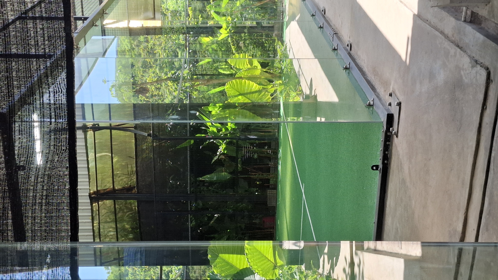 The image shows a building with a combination of glass walls and dark netting, reflecting and partly obscuring a view of lush, green vegetation and trees. The building has a green, turf-like surface visible through the lower glass panels. Concrete structures are seen on the right side of the frame, possibly a walkway or steps. The image is taken in Kuta Selatan, Indonesia.
