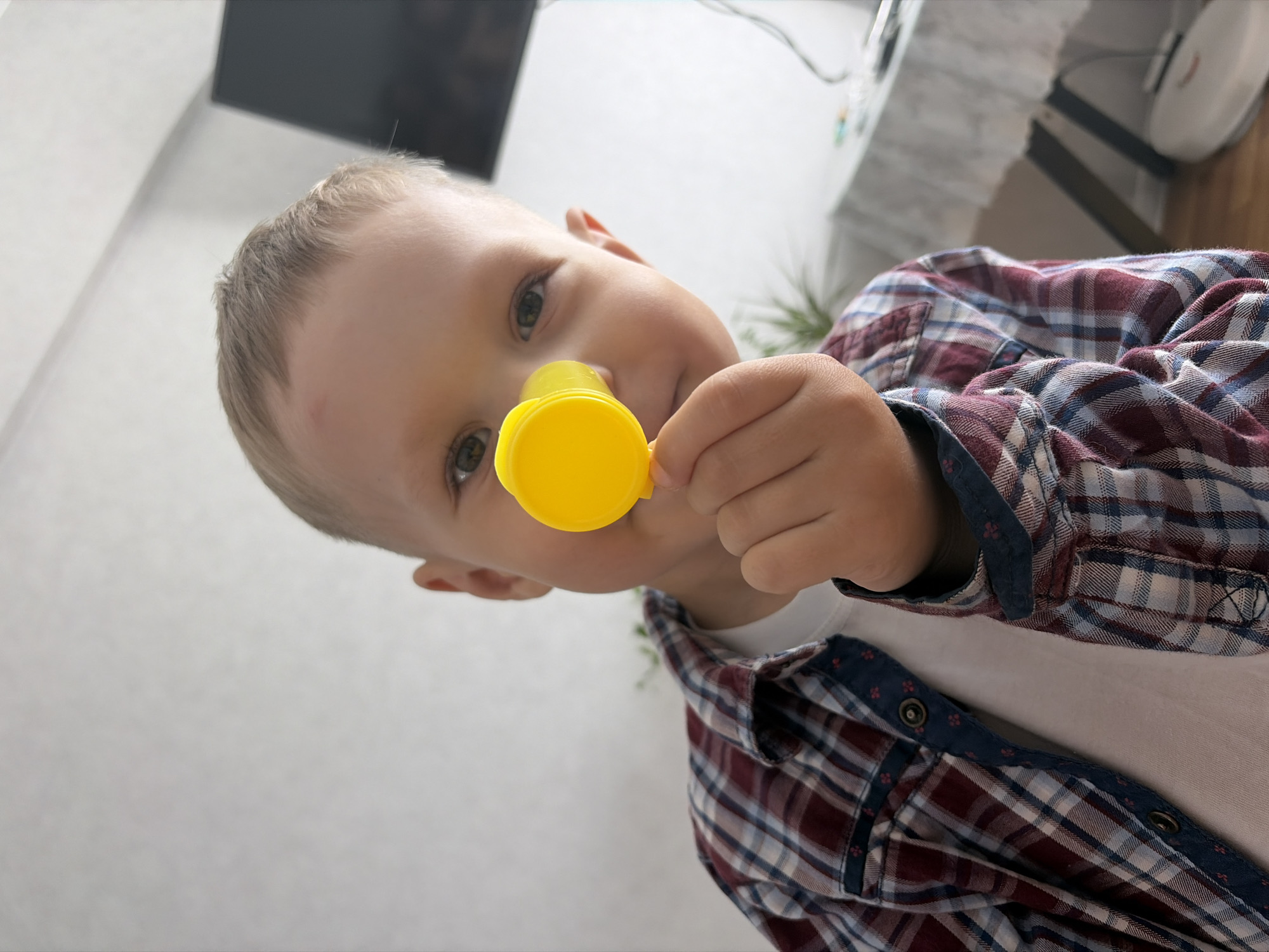 A young Caucasian boy is captured in a medium shot, indoors, holding a yellow toy to his nose. He is wearing a red, white, and blue plaid collared shirt over a white t-shirt. The boy has light brown hair and appears to be looking directly at the camera. The background is blurred but suggests an indoor setting with a white wall and a hint of furniture. The lighting is bright, likely from natural sources. There is no indication of the specific location within the city of Chaikovsky, Russia.