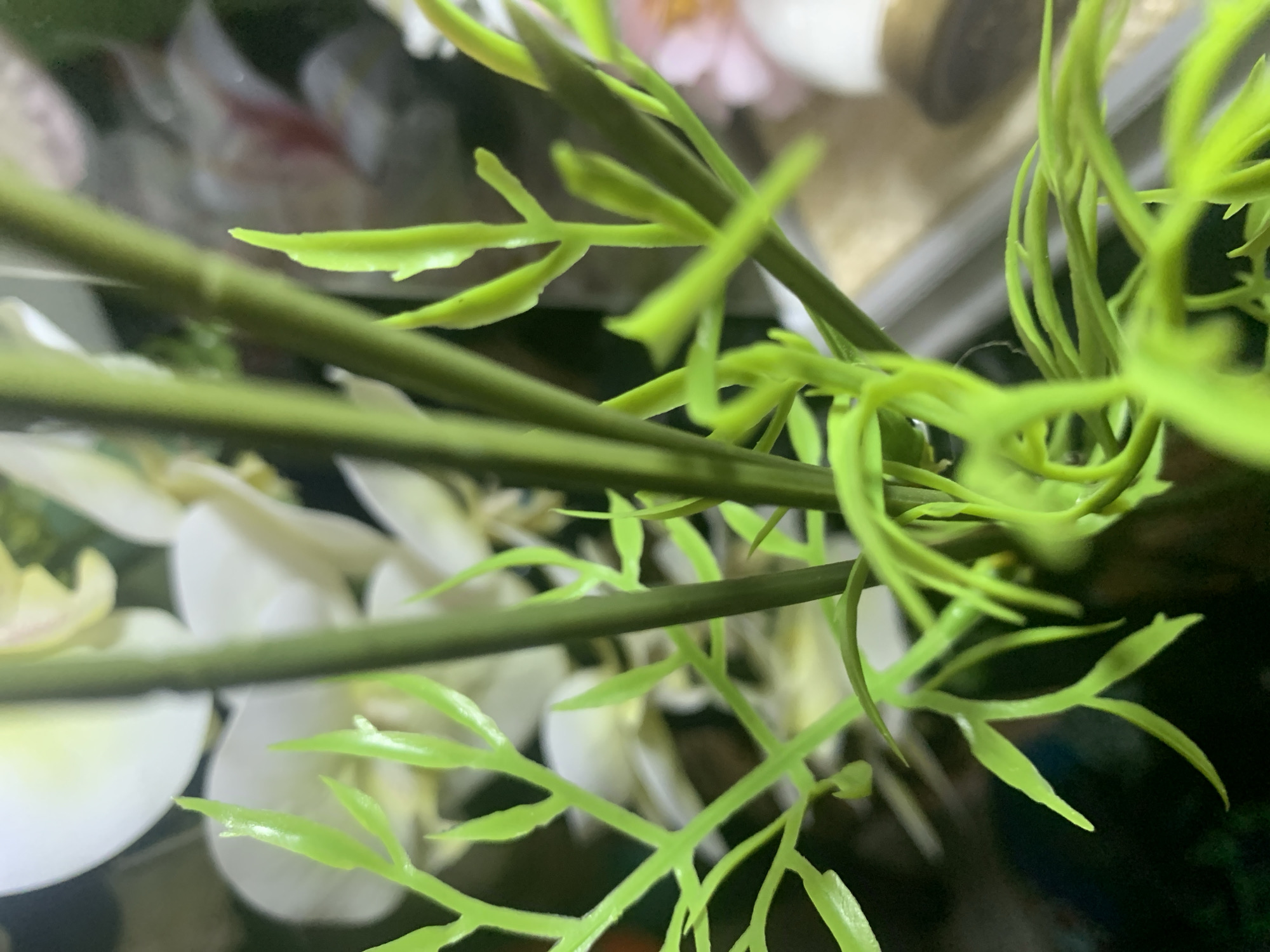 This is a close-up, out-of-focus photograph of artificial foliage, predominantly in shades of bright green and white. The leaves are delicate and appear to be made of plastic or a similar synthetic material. In the background, blurred shapes suggest the presence of white and possibly pink artificial flowers. The lighting is soft, and the shallow depth of field makes it difficult to discern specific details of the flowers or any surrounding environment. No people, animals, or discernible urban elements are visible. The image lacks any contextual information that would allow for its placement in Kuala Pembuang, Indonesia, or any other specific location.