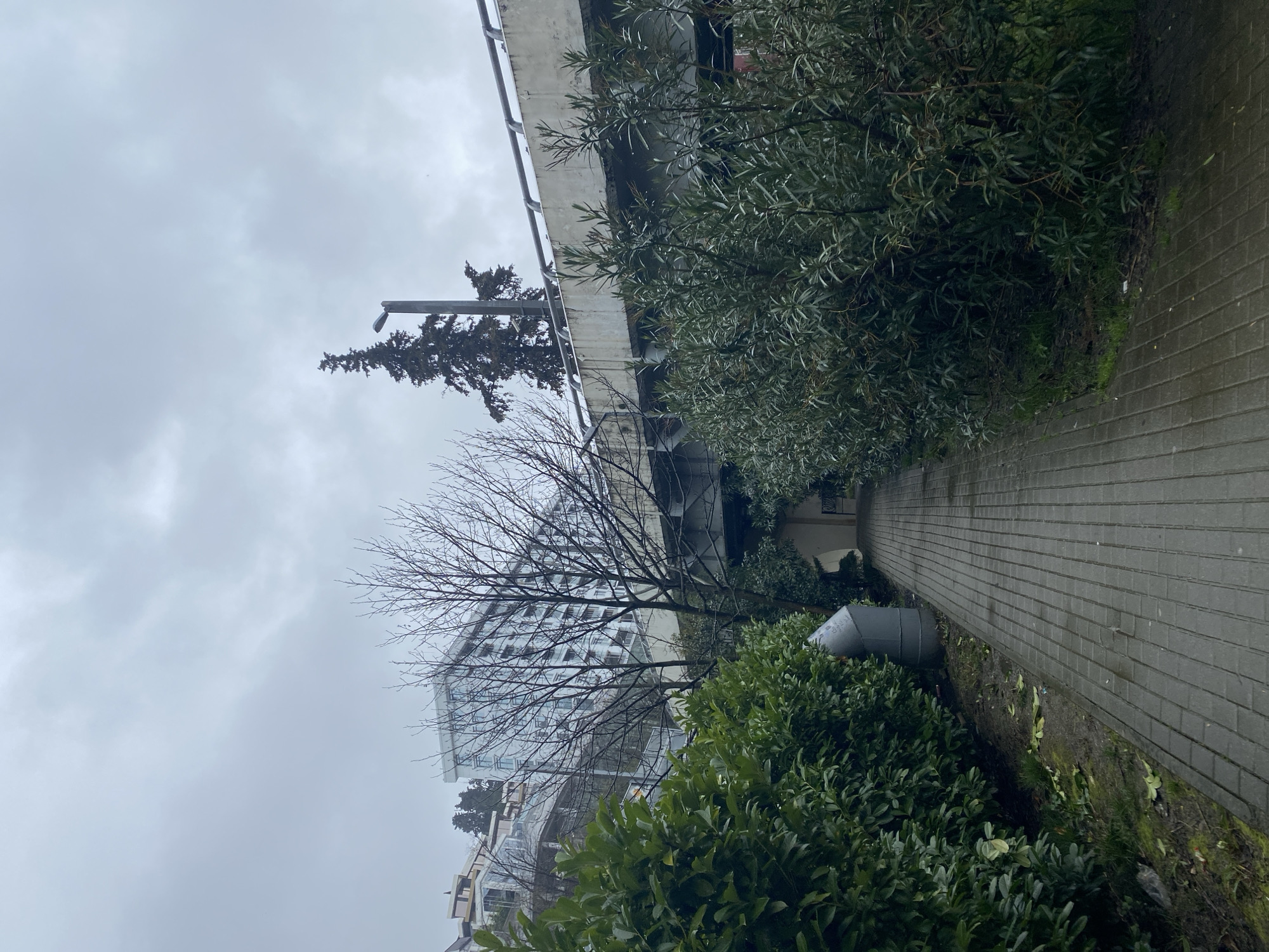 The scene is an outdoor view in Sochi, Russia, characterized by a walkway or path constructed with gray bricks. Adjacent to the path, there's an embankment with green shrubbery. At the edge of the path and shrubbery there's a gray cylindrical object. An overhead structure, possibly a bridge or elevated road, casts a shadow over a section of the pathway. A leafless tree stands near a building with multiple windows in the background. The sky is overcast, suggesting a cloudy day.