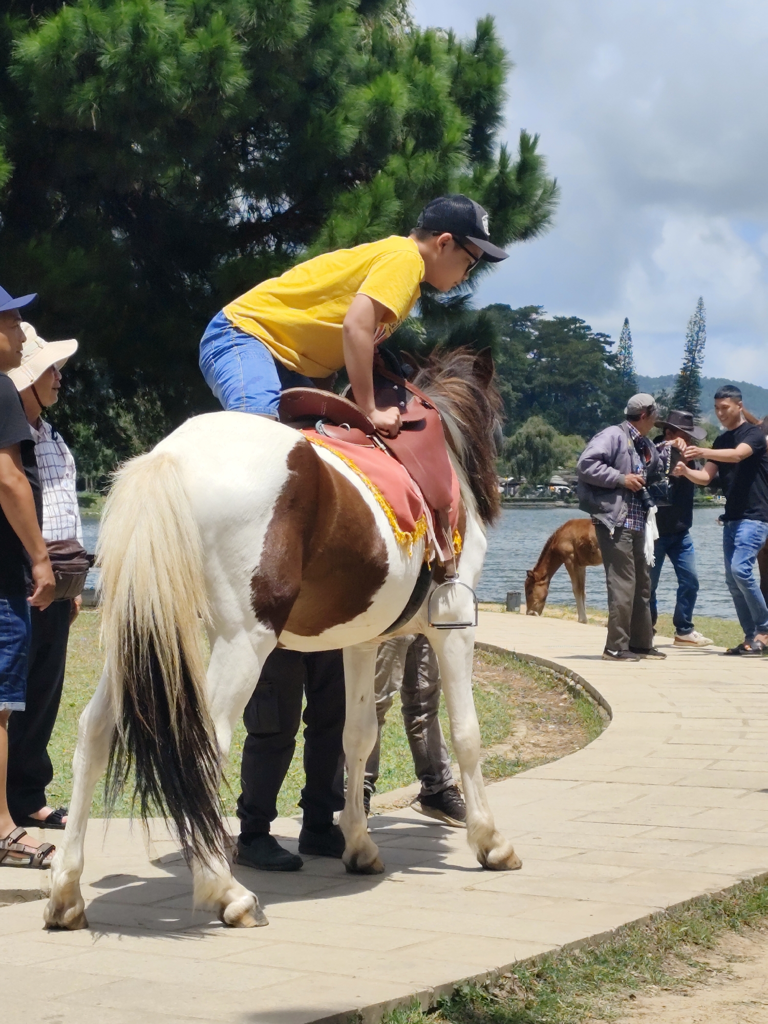 The image depicts a lively scene in Da Lat, Vietnam, likely near Xuan Huong Lake. In the foreground, a young boy wearing a yellow t-shirt and blue jeans, along with a black baseball cap, is positioned atop a pinto-colored pony. The boy is leaning forward, appearing to guide the pony, which is equipped with a pink saddle. To the left of the pony, three individuals are visible: one person in a white hat and a plaid shirt, another in a black shirt, and a third wearing a blue baseball cap and a black t-shirt.
In the background, several other people are gathered near a body of water, likely Xuan Huong Lake. One man is holding a camera, seemingly taking photos or recording. Another man, wearing a black t-shirt and blue jeans, is interacting with him, possibly posing for a picture. A third man, in a grey jacket and jeans, stands beside them. Further in the background, a lone brown horse grazes near the water's edge. The environment features lush green trees, a pathway made of stone pavers, and a glimpse of a cloudy sky. The overall atmosphere suggests a recreational outing or tourist activity in a scenic location.