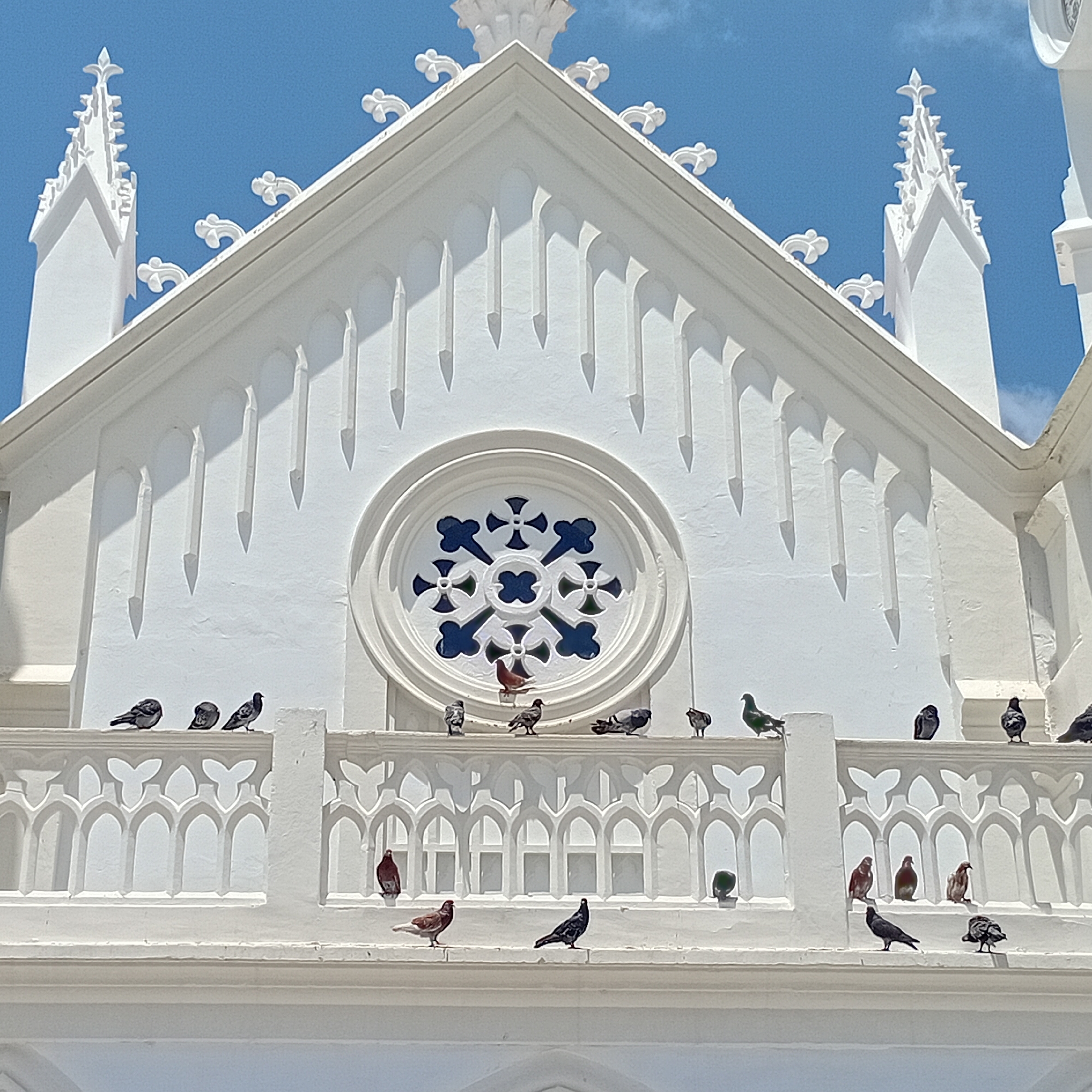 A low-angle, medium shot shows the upper portion of a white building adorned with numerous pigeons, under a clear, blue sky. The building features a large, central triangular gable, decorated with vertical, spear-shaped accents and topped with ornate, white fleur-de-lis-like shapes. A circular window, ornamented with a cross-like pattern, sits at the center of the gable. Below the gable, a white balustrade with an ornate, arched design supports the pigeons. Some pigeons are perched on the top of the balustrade, while others sit on the ledge below. The architectural style suggests a religious building, likely a church or cathedral. The location is in Unknown, Unknown.