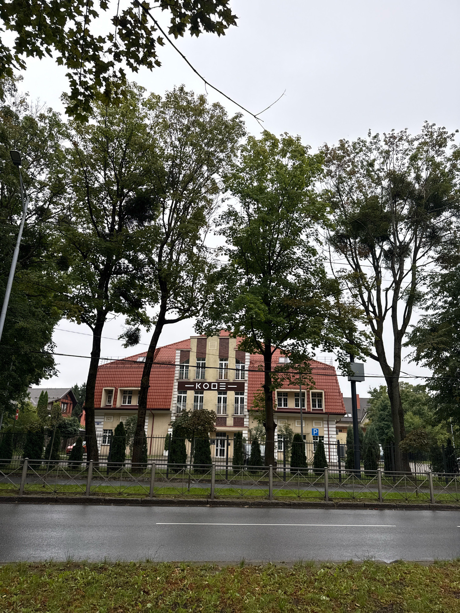 The image captures a street-level view of a building in Kaliningrad, Russia, on an overcast day. In the foreground, a wet asphalt road with a white line is visible, bordered by a strip of green grass. A metal fence separates the road from a landscaped area in front of the building.
The building itself is a multi-story structure with a red tiled roof. Its facade is a mix of cream and yellow, accented with vertical brown stripes and white window frames. A prominent sign on the upper part of the building reads "-KOД=". Several tall trees with full green canopies are positioned in front of the building and along the street, partially obscuring the view of the structure. Some of the trees have mistletoe growing on them. Other smaller evergreen trees are planted behind the fence. A blue parking sign with a white "P" is visible on a pole near the building. The sky is uniformly gray and cloudy, indicating a possibly damp or drizzly weather condition.