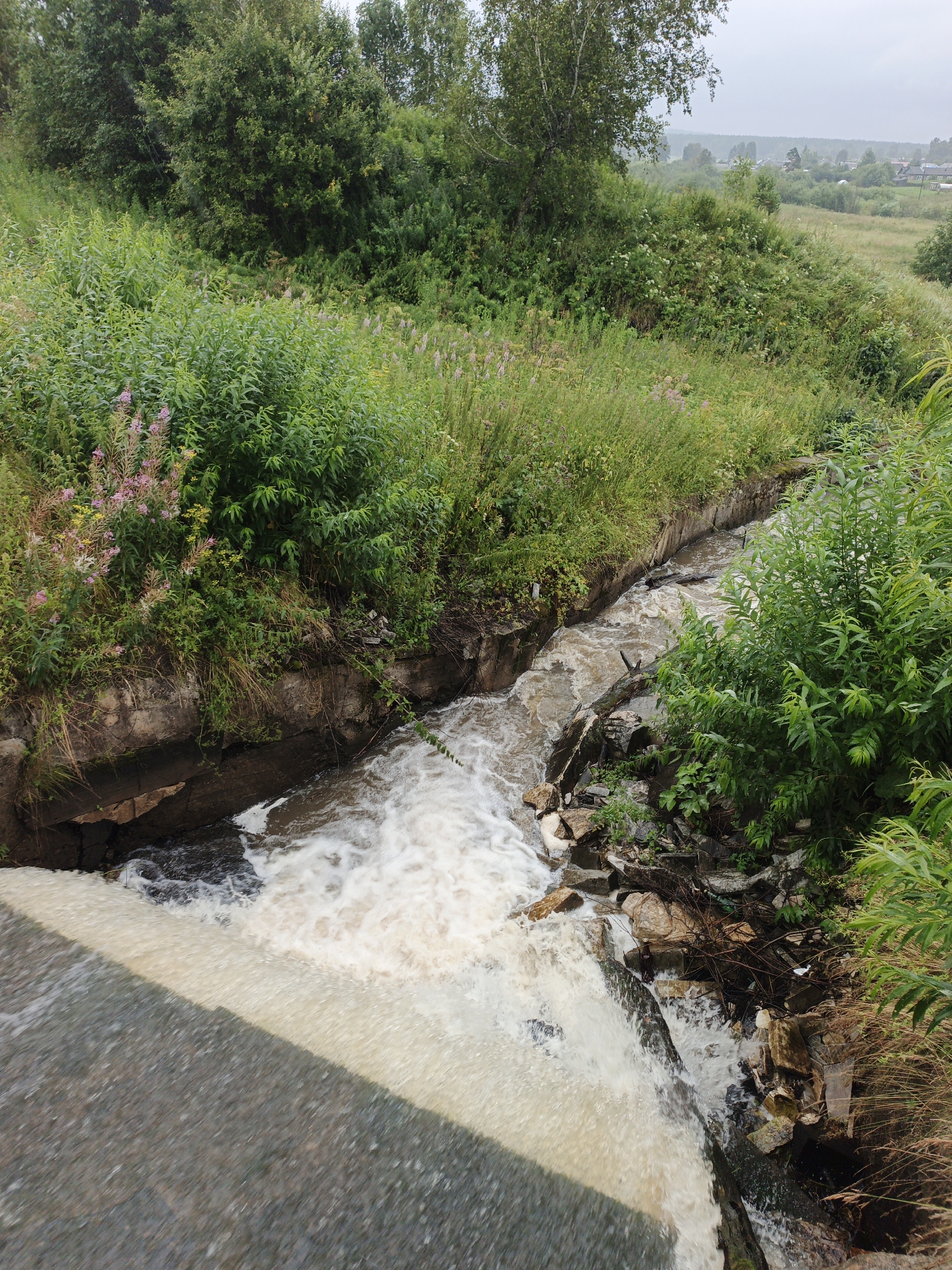 The image captures a rural scene in Urtiushka, Russia, focusing on a narrow, fast-flowing stream channel. The water is a muddy brown, churning and creating white foam as it cascades over rocks and debris. The channel itself appears to be reinforced with concrete on the left bank, which is overgrown with lush green vegetation, including tall grasses and flowering plants with pink and yellow blossoms. On the right bank, the channel is lined with rocks and more dense foliage, with some fallen branches and what appears to be litter present. The stream flows from the upper left of the frame towards the lower right. Beyond the stream, the landscape opens up to rolling hills covered in dense green trees and shrubs, with a hazy sky in the background. In the distance, a few houses with roofs are visible, suggesting a small settlement. The foreground of the image is dominated by a textured, grey surface that slopes downwards, possibly a road or pathway. The overall impression is one of a natural waterway within a verdant, somewhat untamed rural environment.