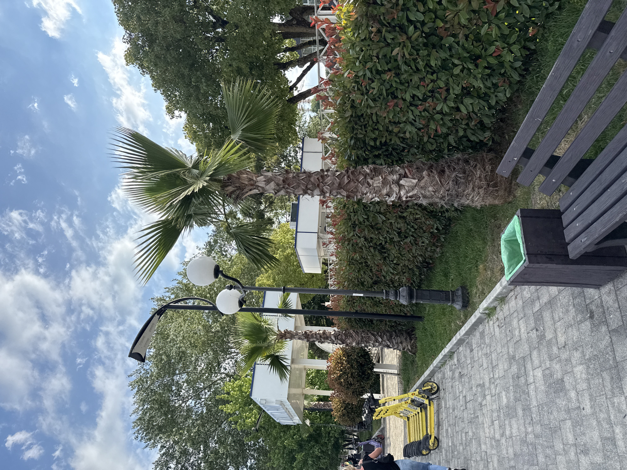 An outdoor shot captures a scene on a cloudy day, likely in Sochi, Russia, given the presence of palm trees. In the foreground, a grey paved walkway runs diagonally from left to right, with a line of yellow electric scooters parked along its edge. To the right of the walkway, a dark wooden bench faces away from the viewer, and a dark wooden trash can with a green liner stands nearby. A lush, green hedge forms a barrier behind the bench and trash can, interspersed with red-tipped foliage. Behind the hedge, two palm trees are visible, one taller and more prominent than the other, with rough, textured trunks and fanned green fronds. A black lamppost with two white globe lights stands between the walkway and the hedge, near the palm trees. In the background, a white modern structure with a sign featuring Cyrillic lettering is visible, flanked by more greenery and trees. The sky above is a mix of blue and white clouds. A person, seen from the back, walks on the far left of the walkway, wearing a black top and blue jeans, carrying a black backpack.