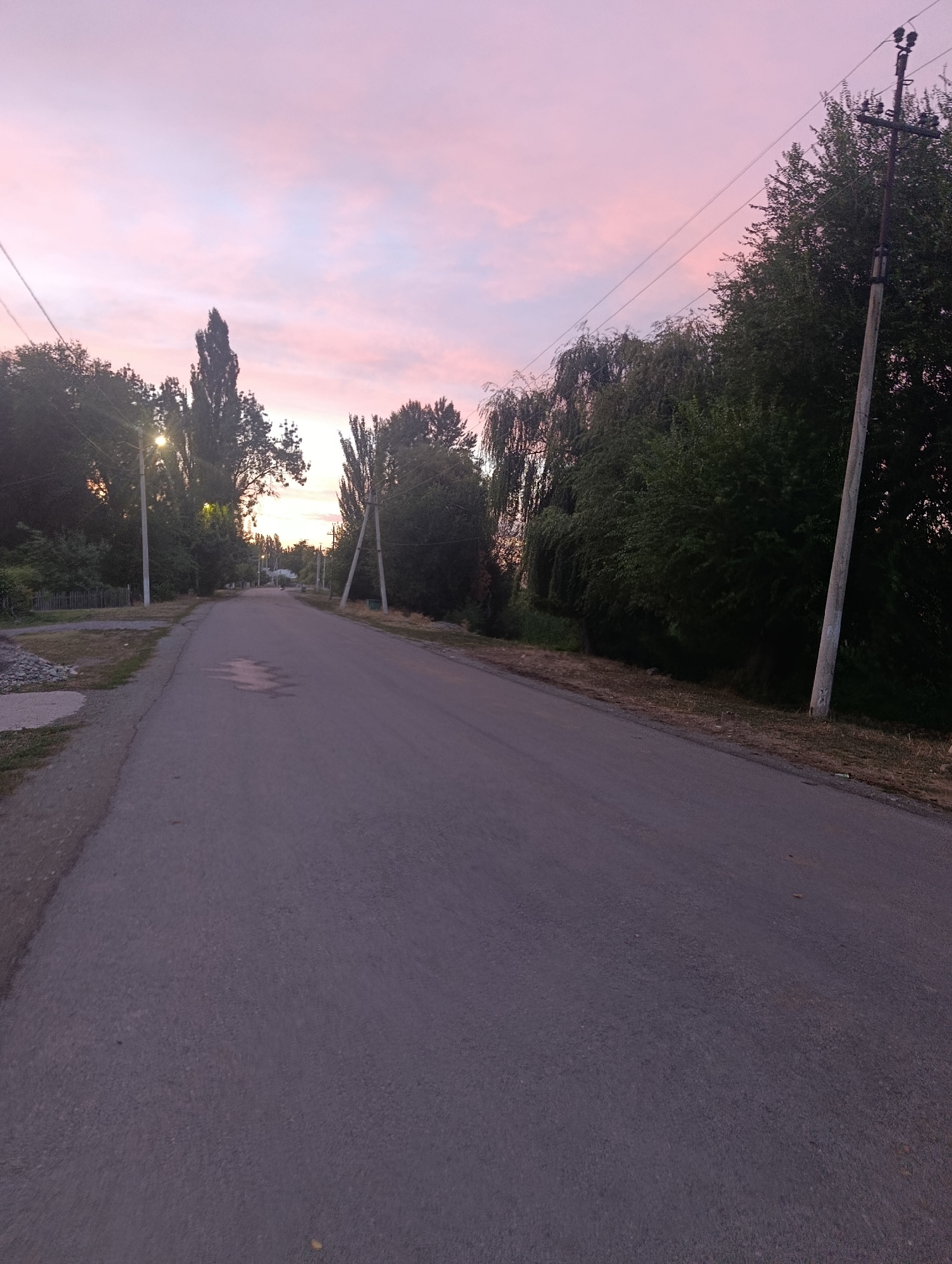 A long, empty asphalt road stretches into the distance under a soft pink and purple sunset sky in Kayıŋdı, Kyrgyzstan. Tall trees with lush green foliage line both sides of the road, some with weeping branches. A few power poles with overhead wires are visible, casting faint shadows. The road surface shows some wear and tear, with a few puddles reflecting the twilight. The overall atmosphere is peaceful and serene, with no people or animals present. The environment appears to be a semi-rural area, likely on the outskirts of the town.