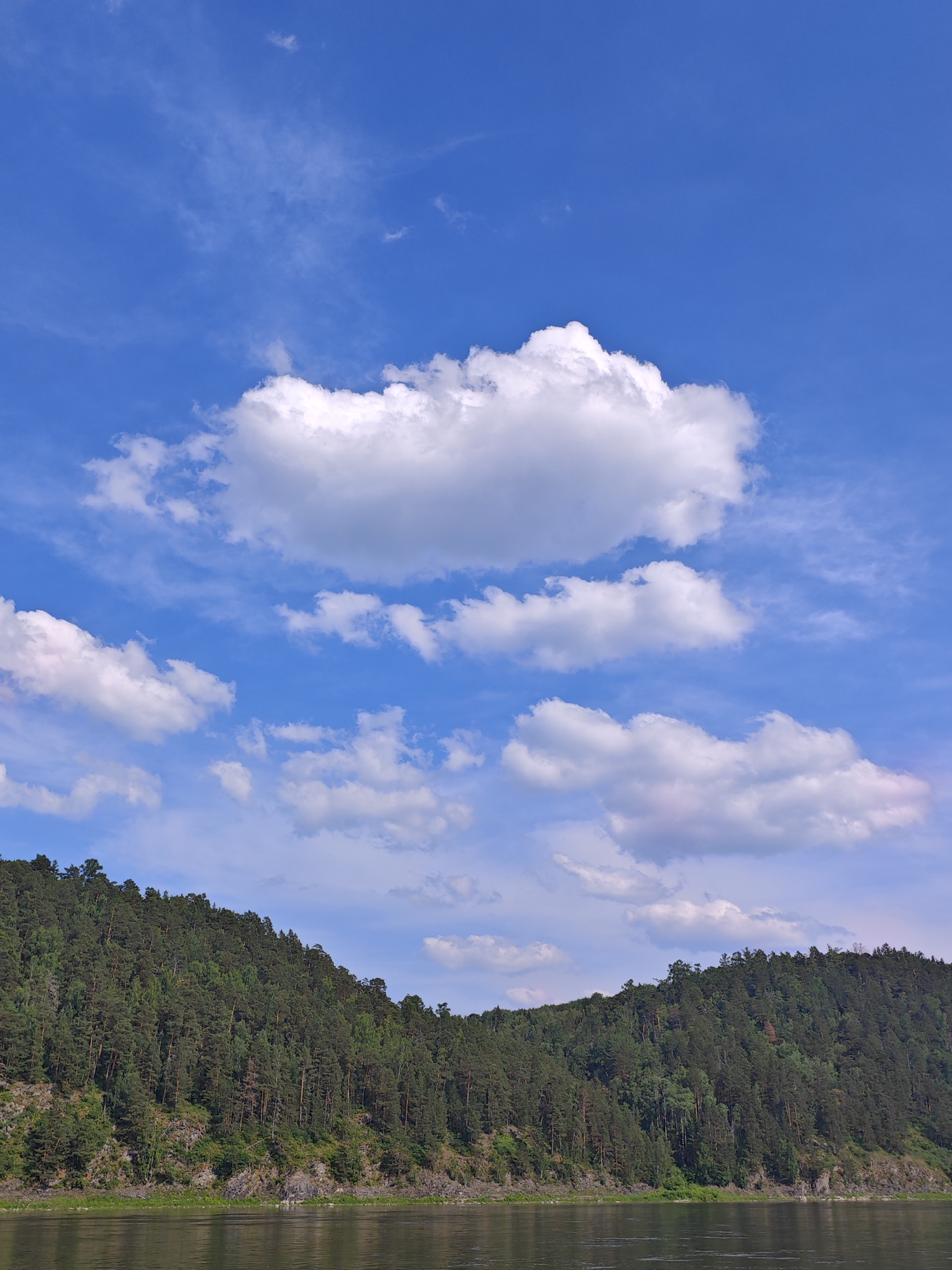 The image depicts a scenic view of the Tayets River in Predivinsk, Russia, under a clear blue sky dotted with fluffy white clouds. A dense, verdant forest covers the steep slopes of the riverbank, with a rocky shoreline visible in places. The water of the river is calm and reflects the sky and surrounding landscape. The scene is natural and undeveloped, conveying a sense of peace and tranquility.