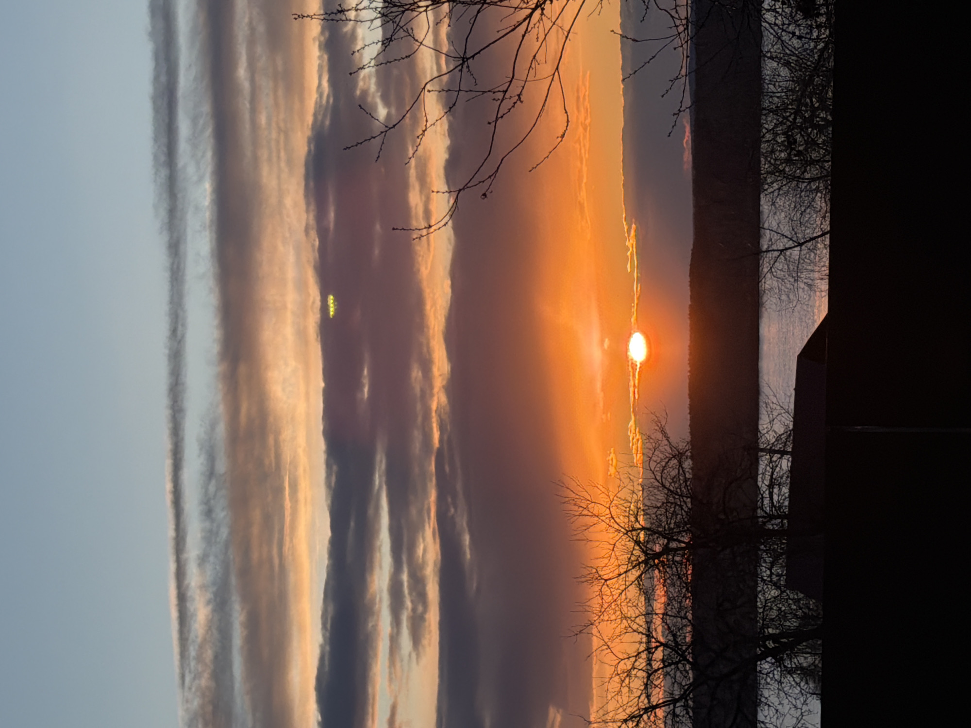 This horizontally oriented image captures a dramatic sunset or sunrise over a body of water in Chaikovsky, Russia. The sky is the dominant feature, showcasing a spectacular gradient of colors. On the left, the sky is a pale, clear blue, transitioning horizontally through a series of long, stratiform clouds. These clouds are illuminated with intense oranges, yellows, and warm pinks closer to the sun, while further away they appear in darker shades of grey and muted purple.
The sun, a brilliant white-yellow disk, is positioned on the right side of the frame, low above the horizon. Its powerful light creates a radiant glow, streaking across the clouds and casting a warm luminance over the entire scene.
In the midground, a dark, indistinct silhouette of land or hills stretches across, separating the dynamic sky from a calm body of water, likely the Kama River or Votkinsk Reservoir. The water's surface reflects the soft, cool tones of the sky, appearing as a tranquil expanse of greyish-blue.
The foreground features dark, silhouetted elements. Bare, intricate tree branches, indicative of late autumn or winter, frame parts of the image, their delicate patterns starkly contrasted against the bright sky. On the far right, a dark, angular silhouette of what appears to be a building or structure partially obstructs the view. The overall mood is one of serene beauty and the dramatic splendor of nature at the beginning or end of the day. No visible text is present.
